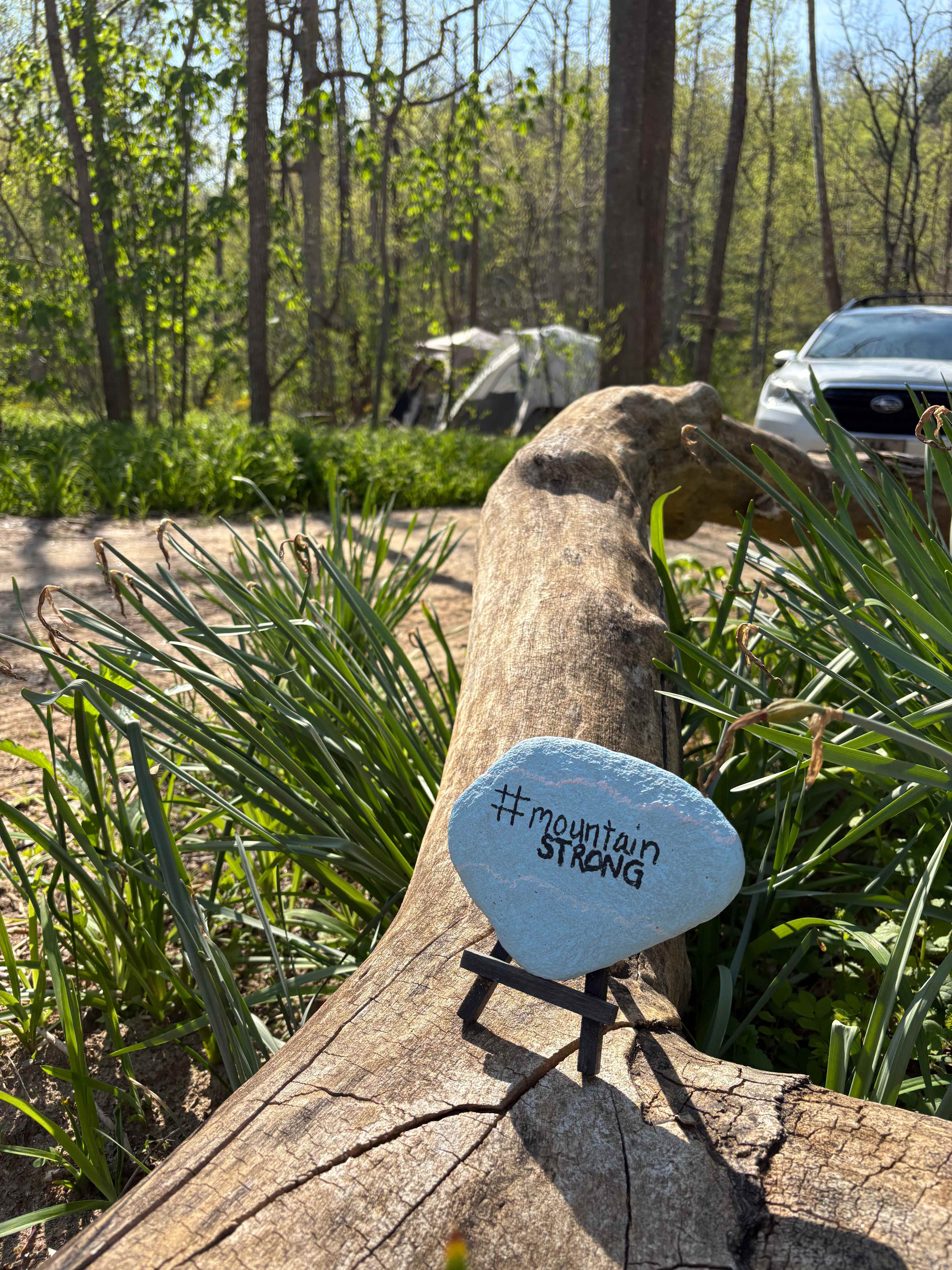 TangleWood Creekside Campsites