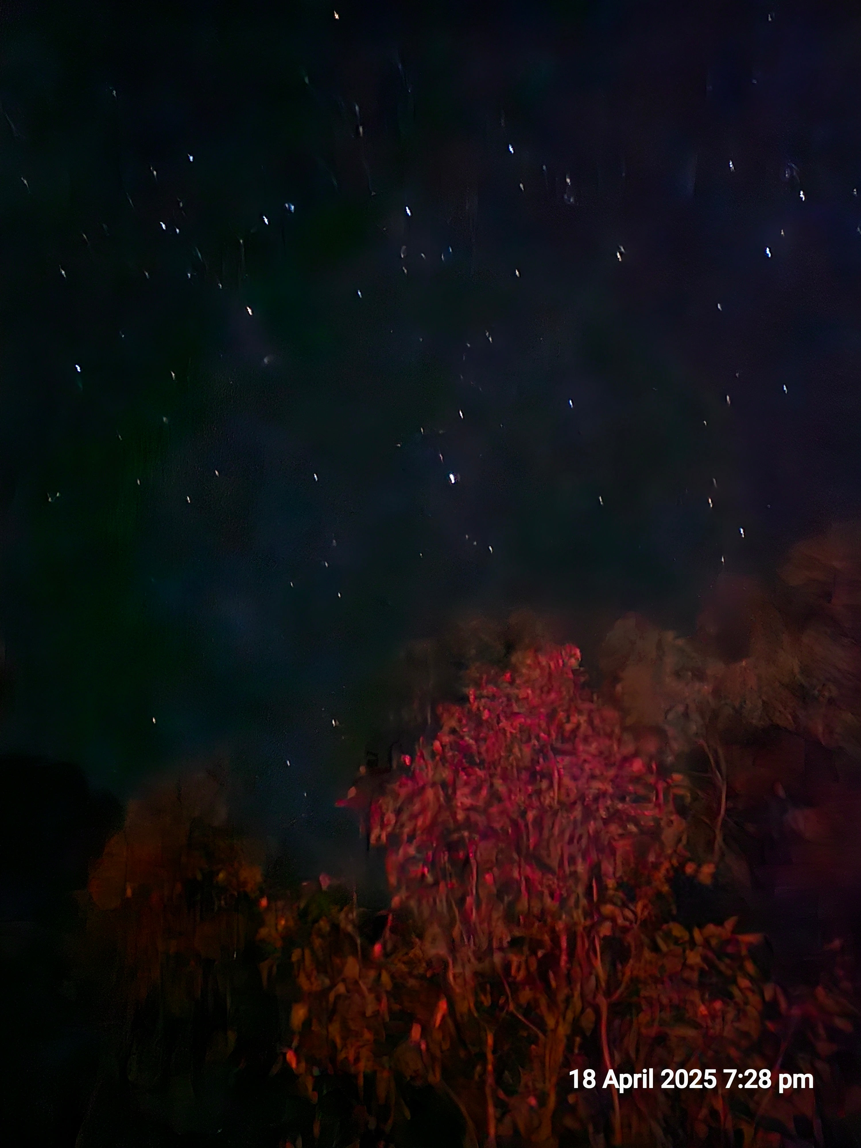 Clear sky's for stargazing
