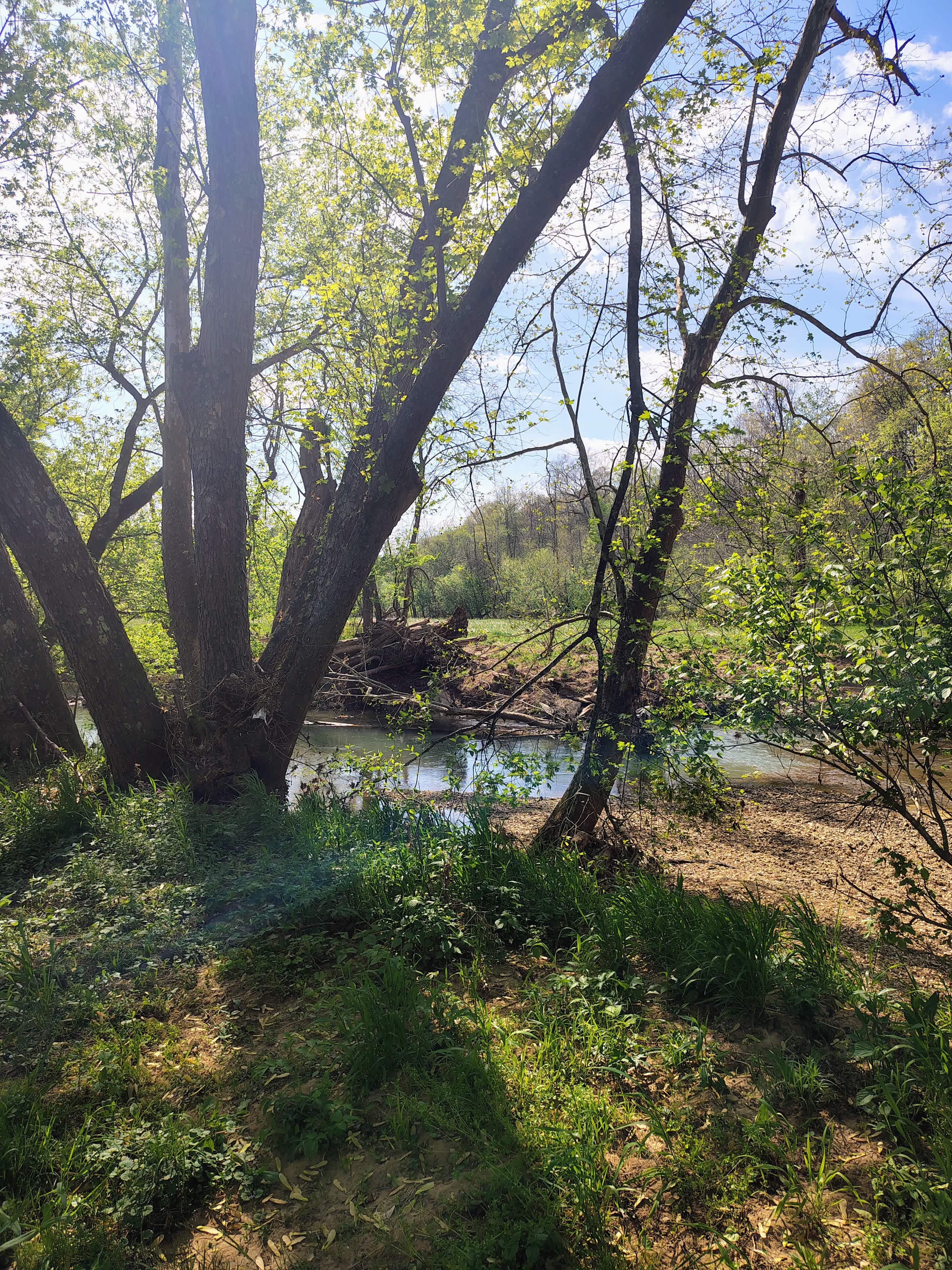 Twisted River