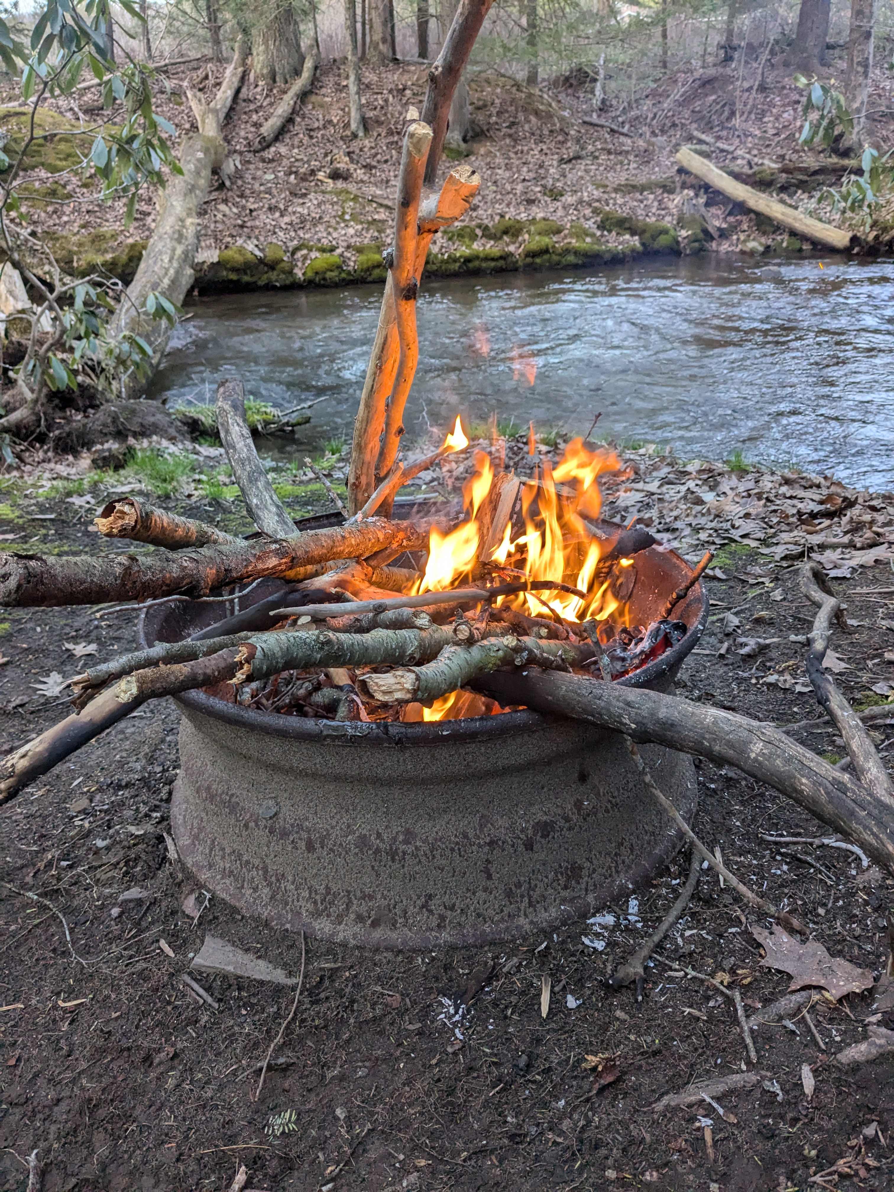 Bald Eagle Campsite