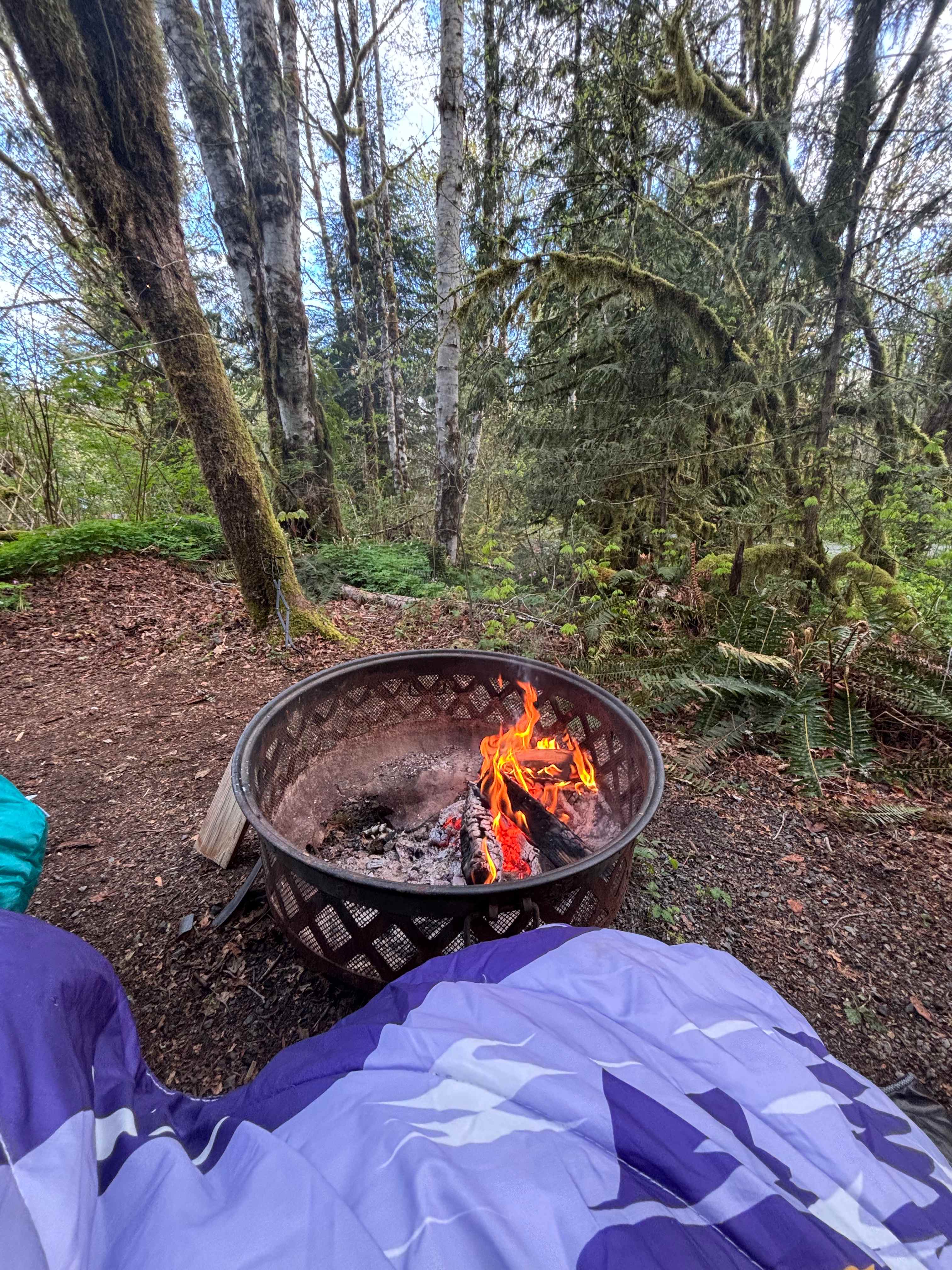 Camp Keyser Forest Camp