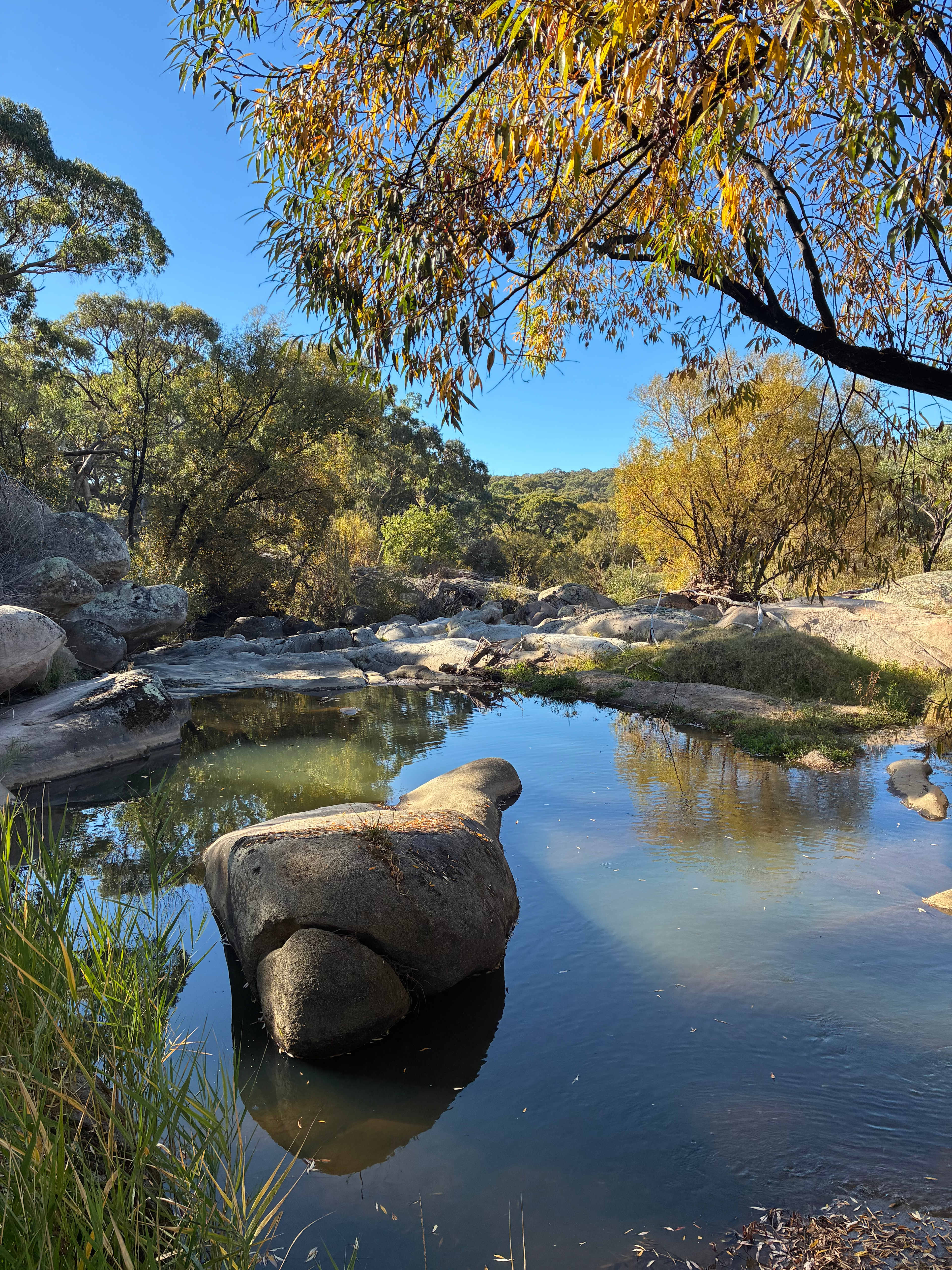 Burranuk Farm, Bathurst, NSW.