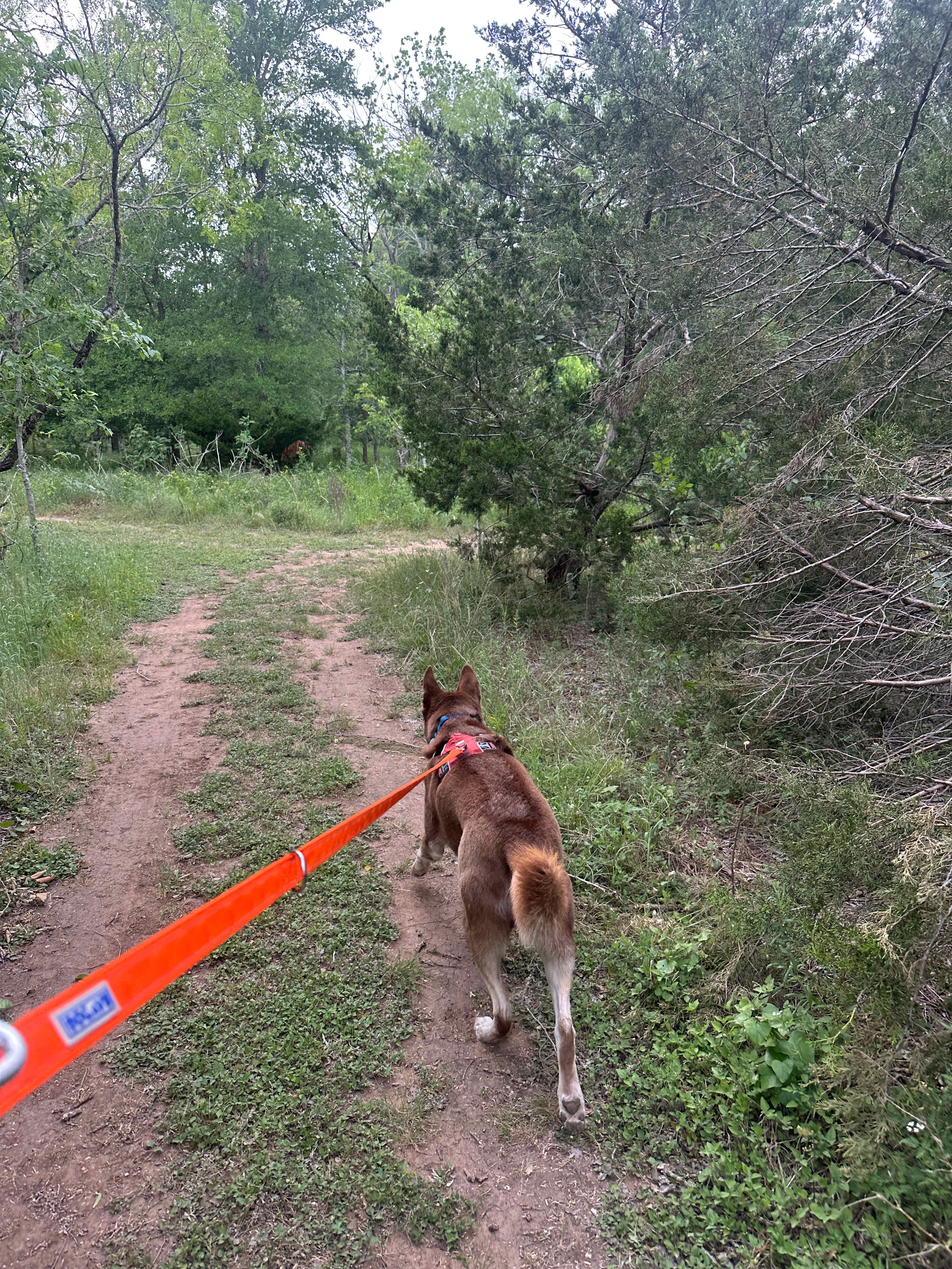 Trails on the property are perfect for an evening walk
