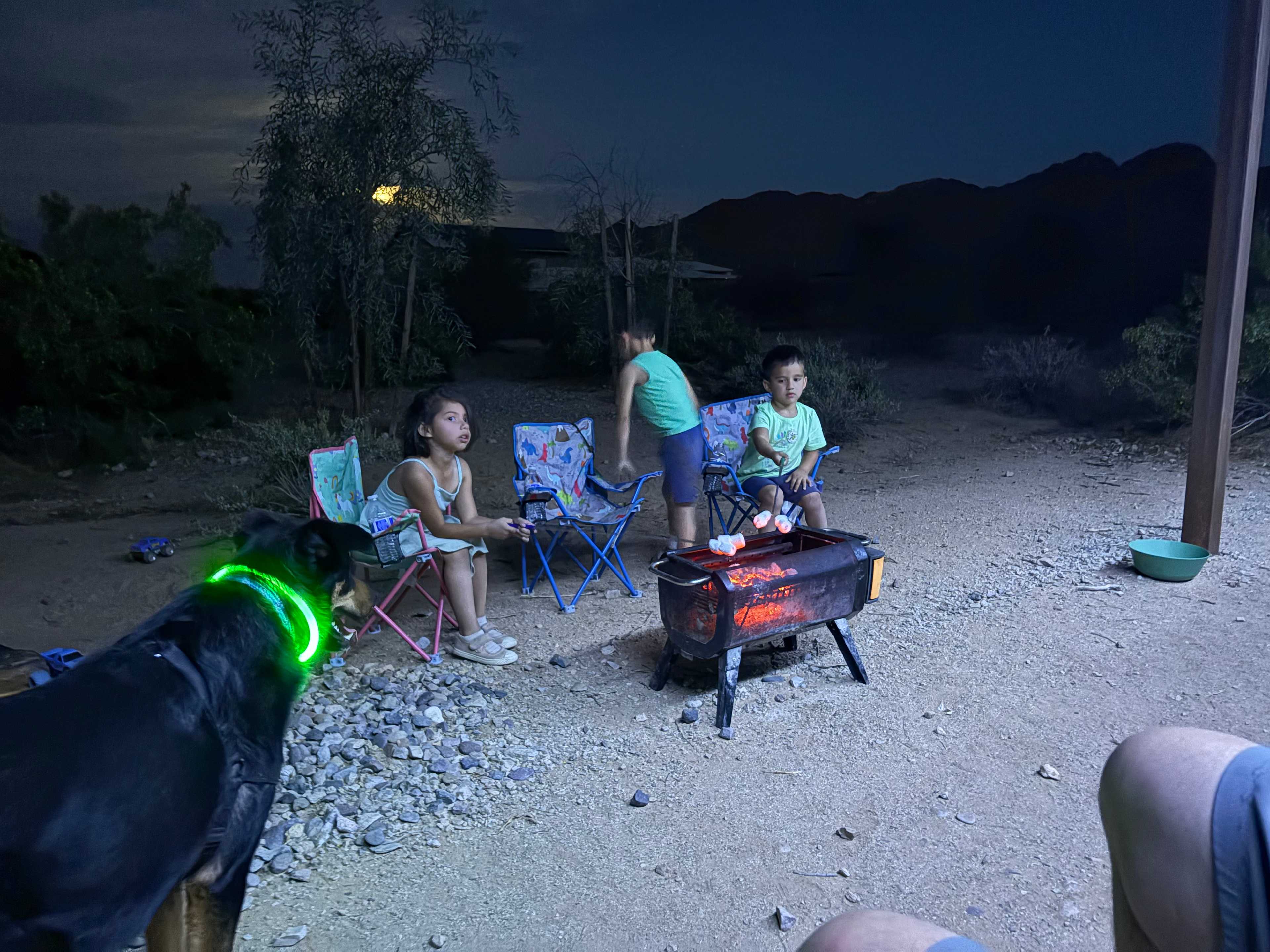 That is a fully inclosed BBQ