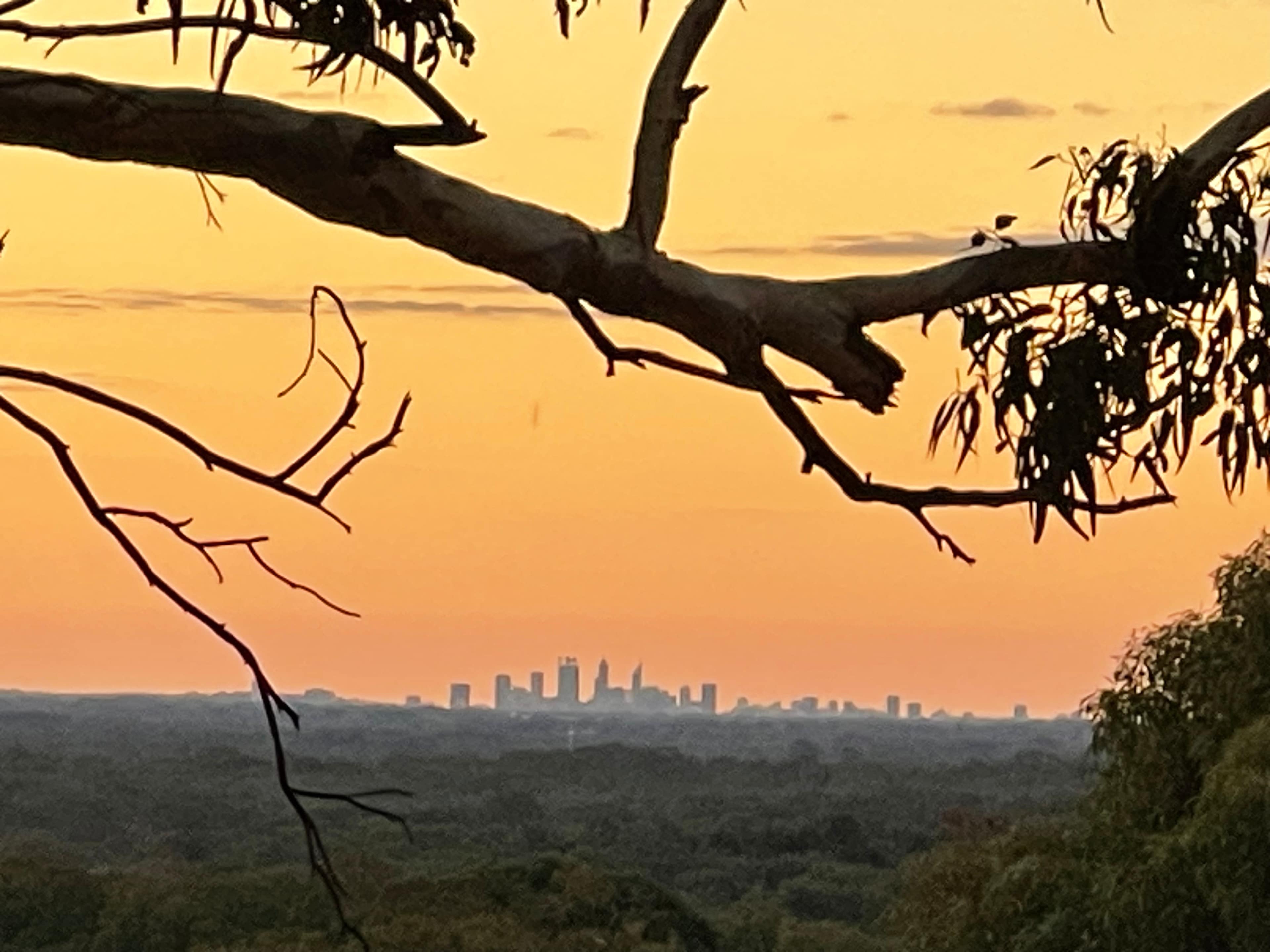 City view at sunset