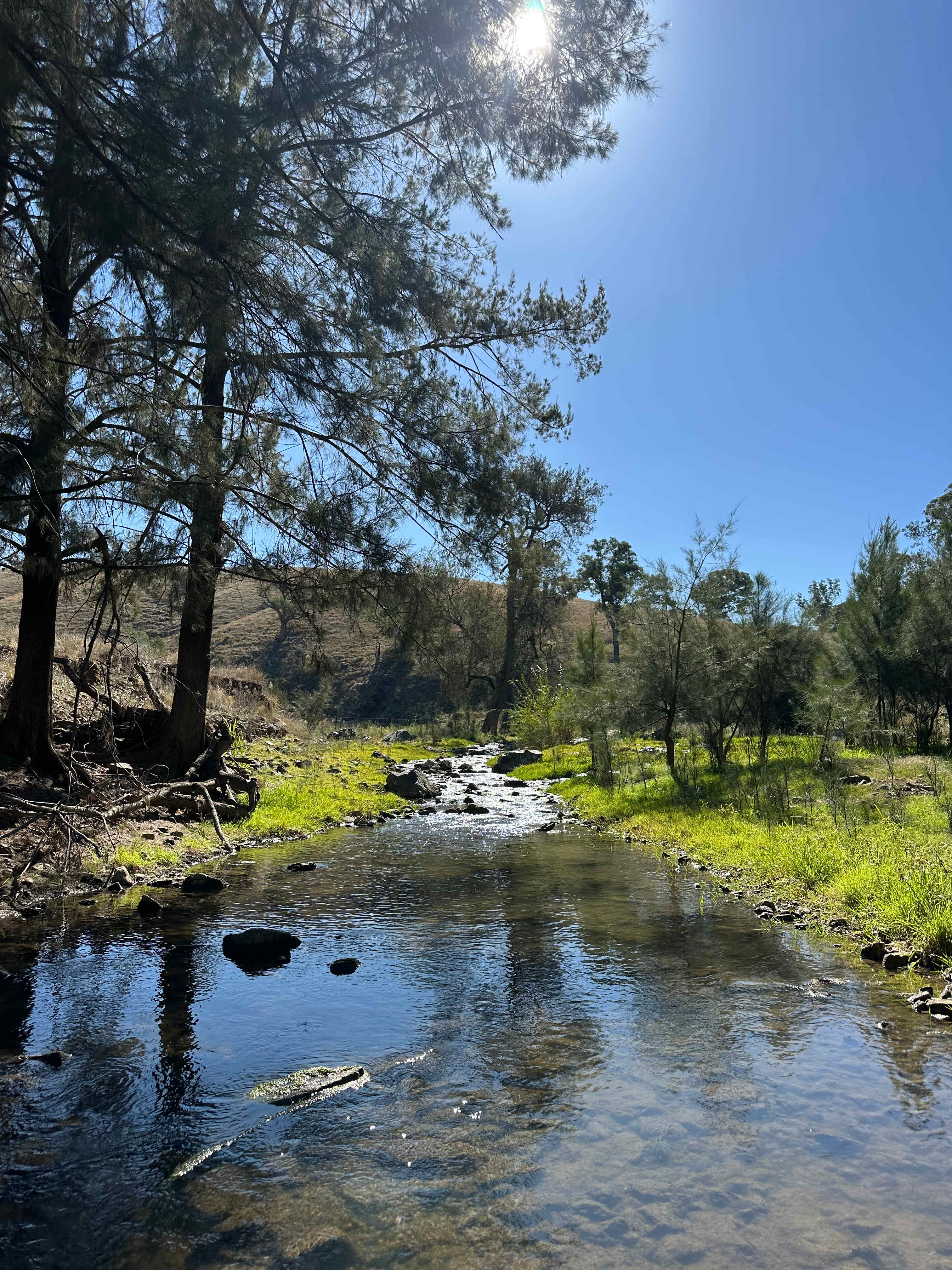 Bellandre Park