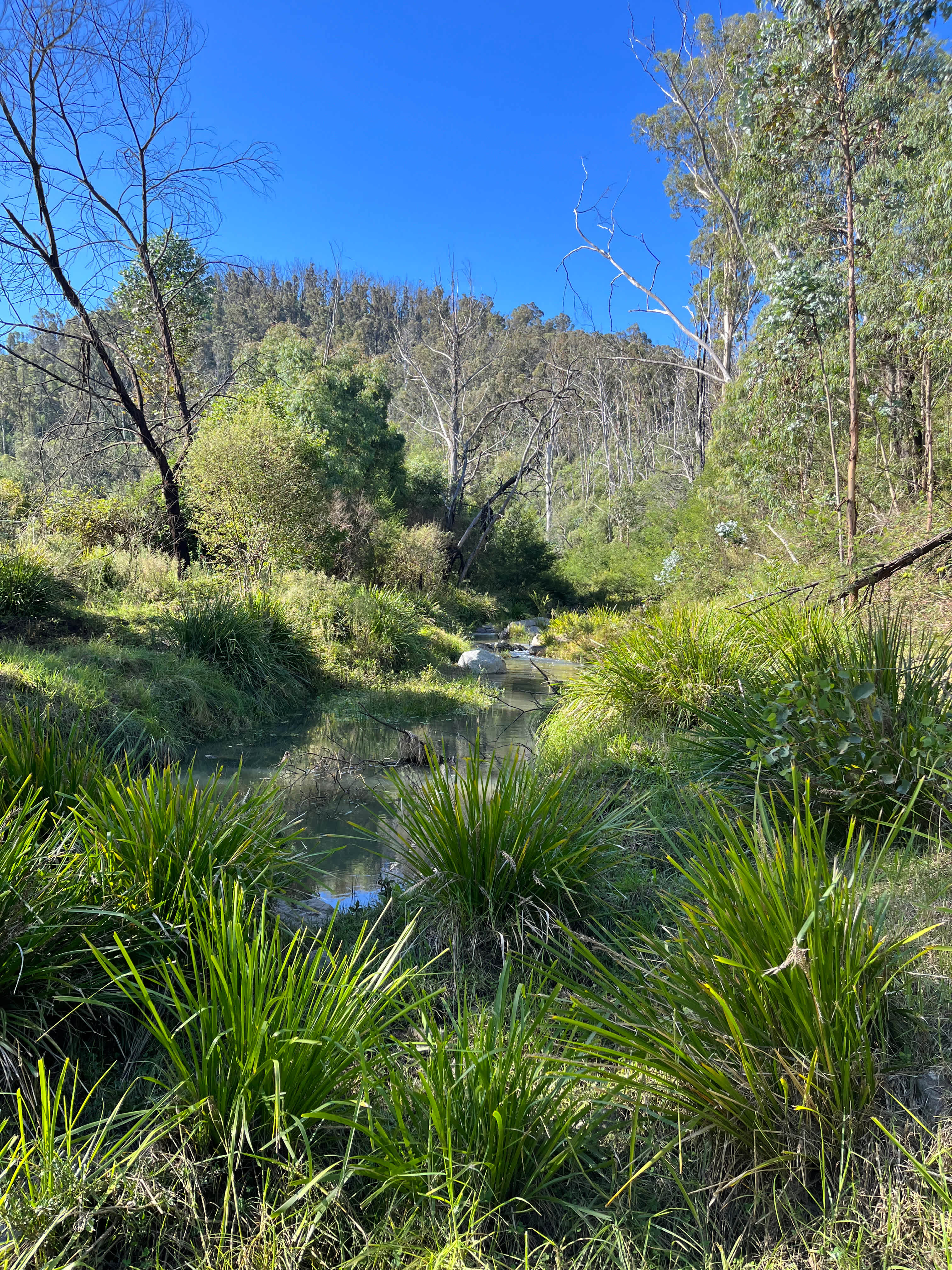 creek