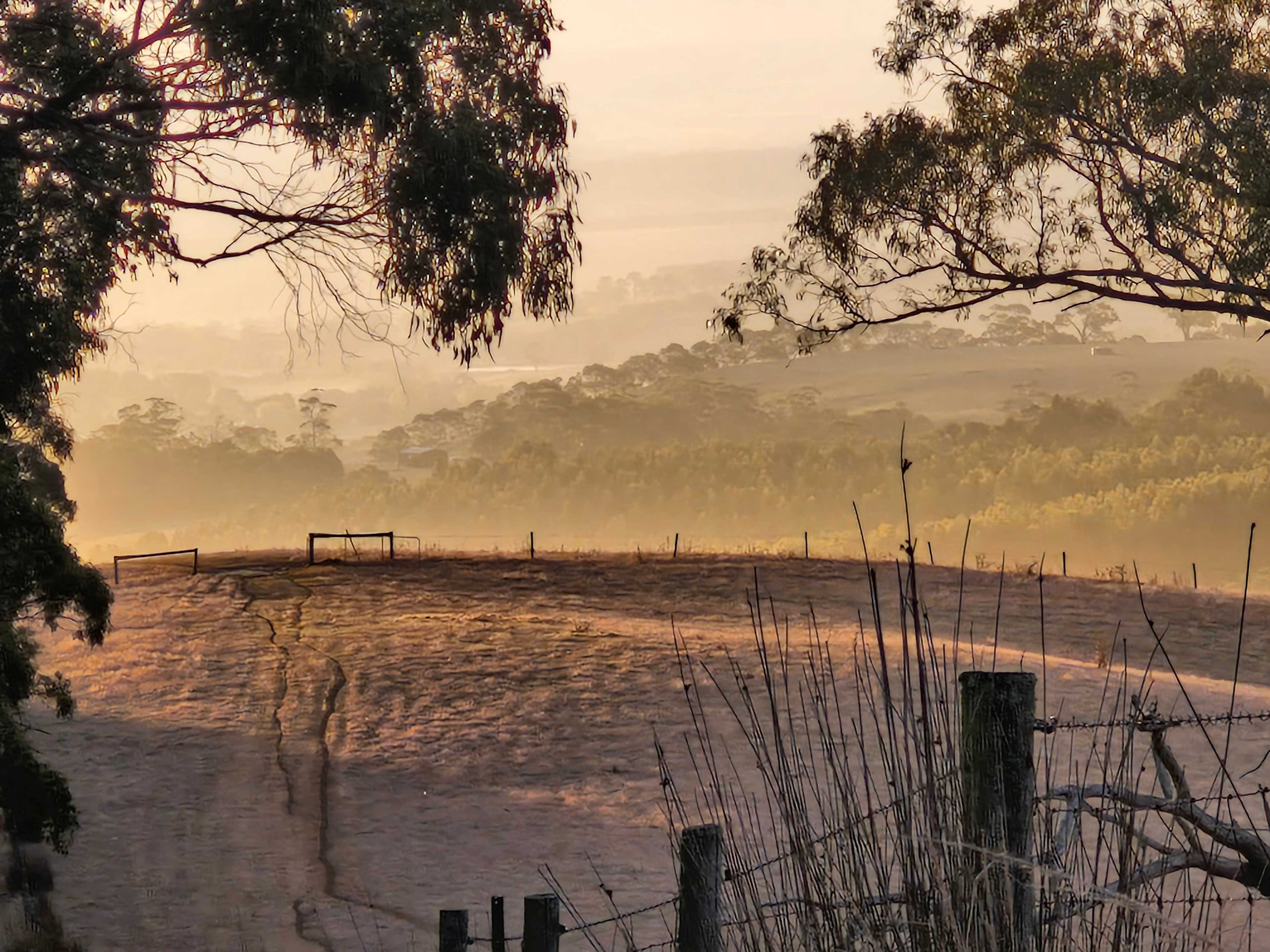 Secluded Otways Forest Camp