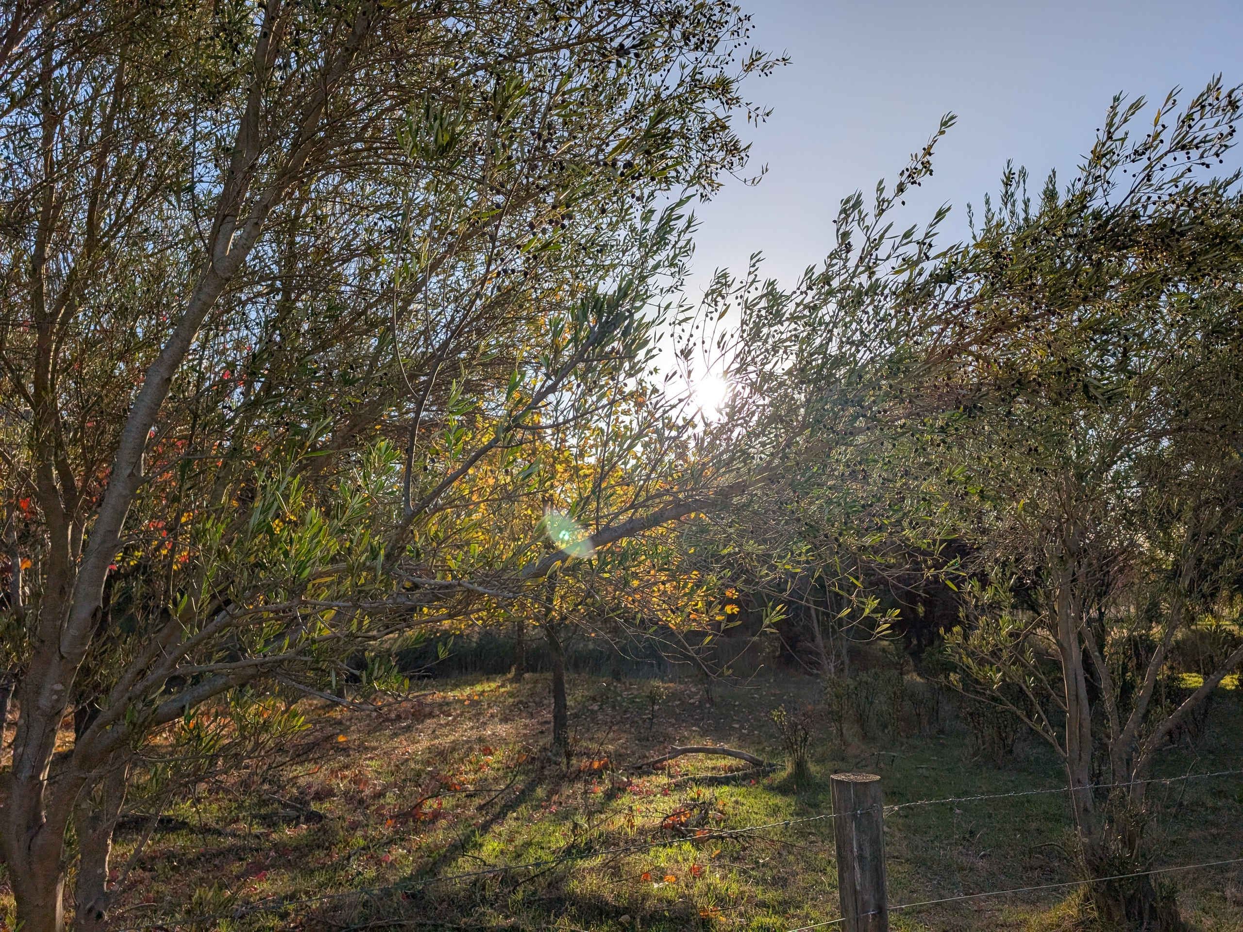 Green Pastures Retreat