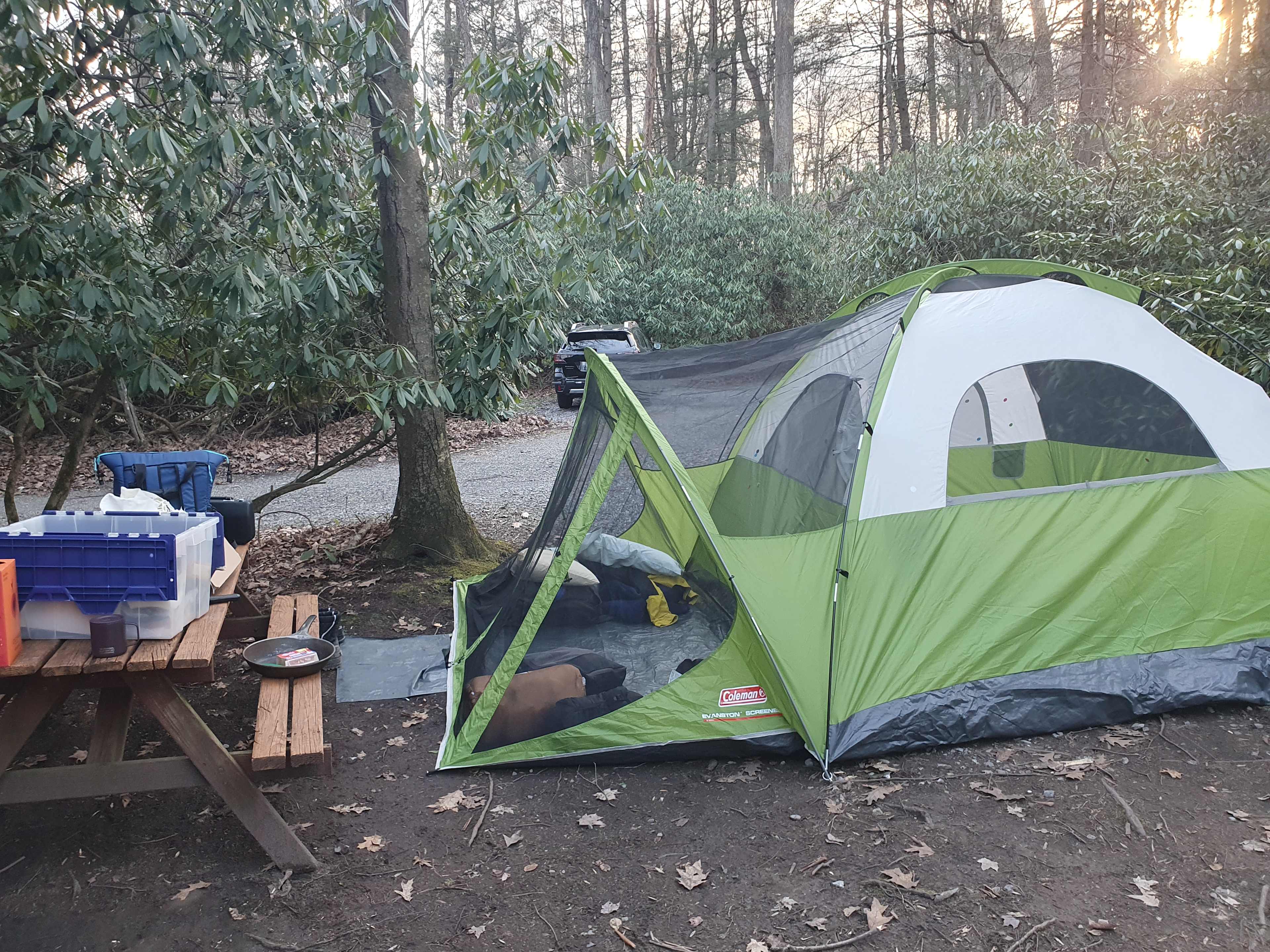 Bald Eagle Campsite