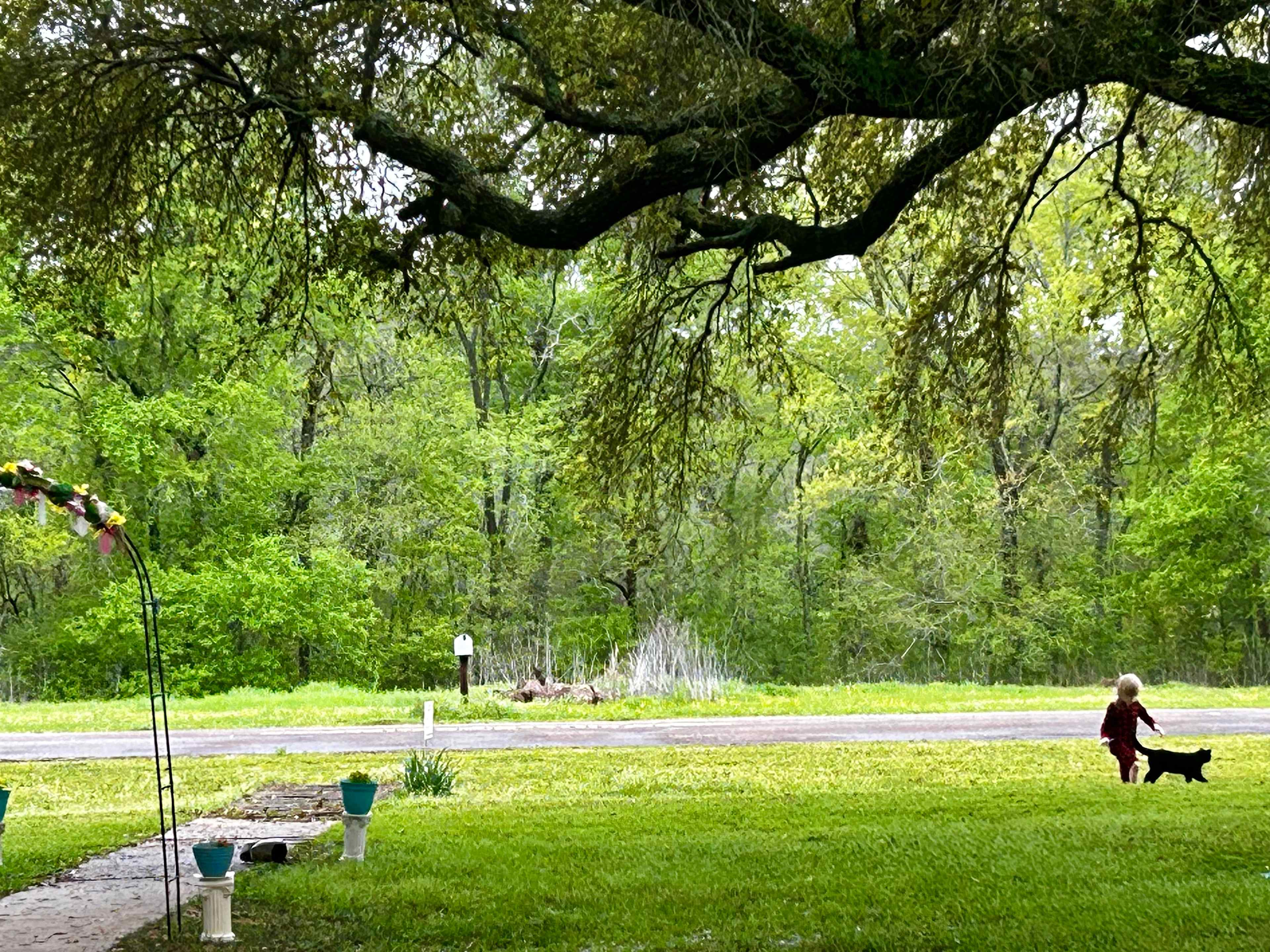 Bayou Bourbeaux