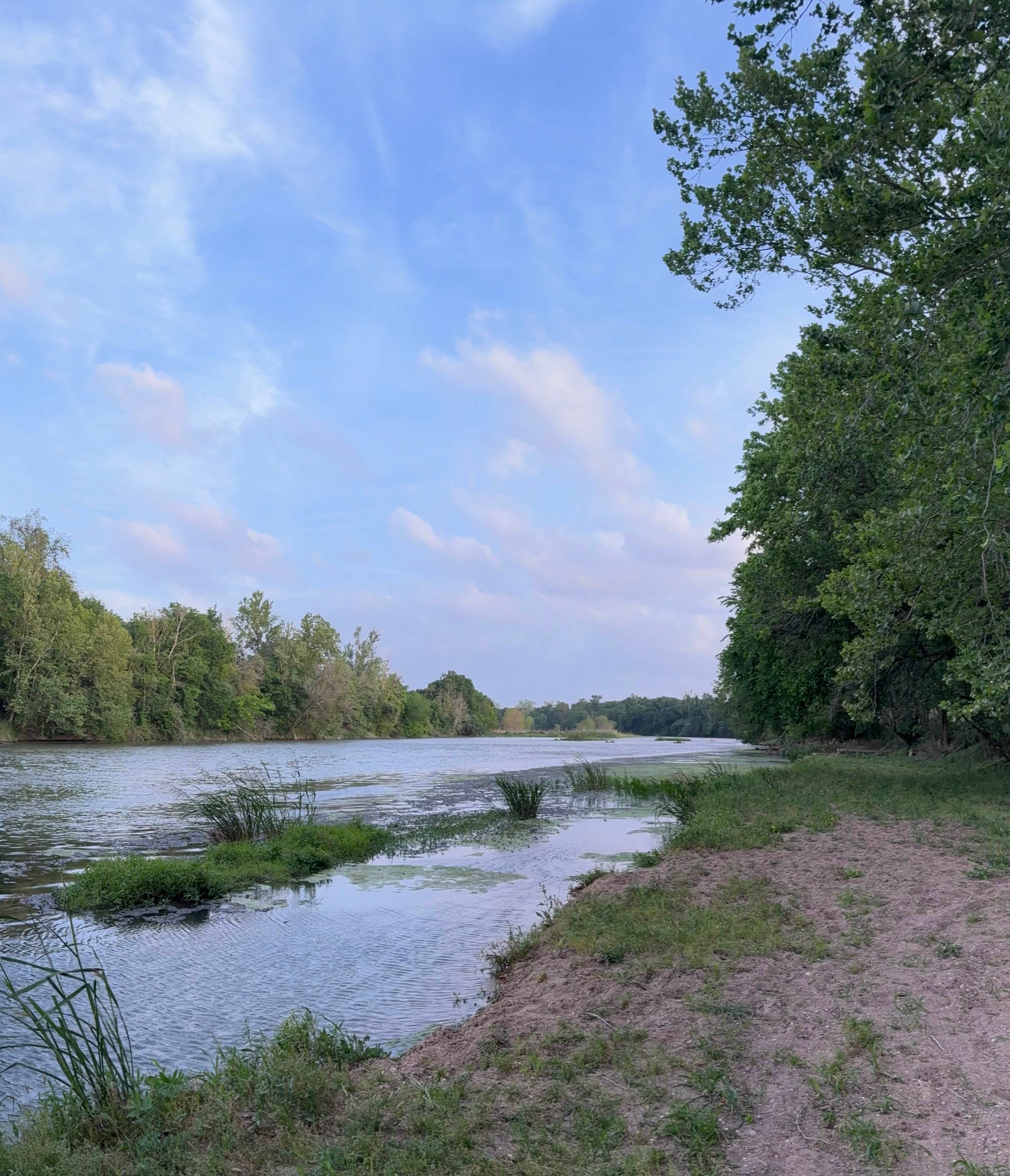 View at river