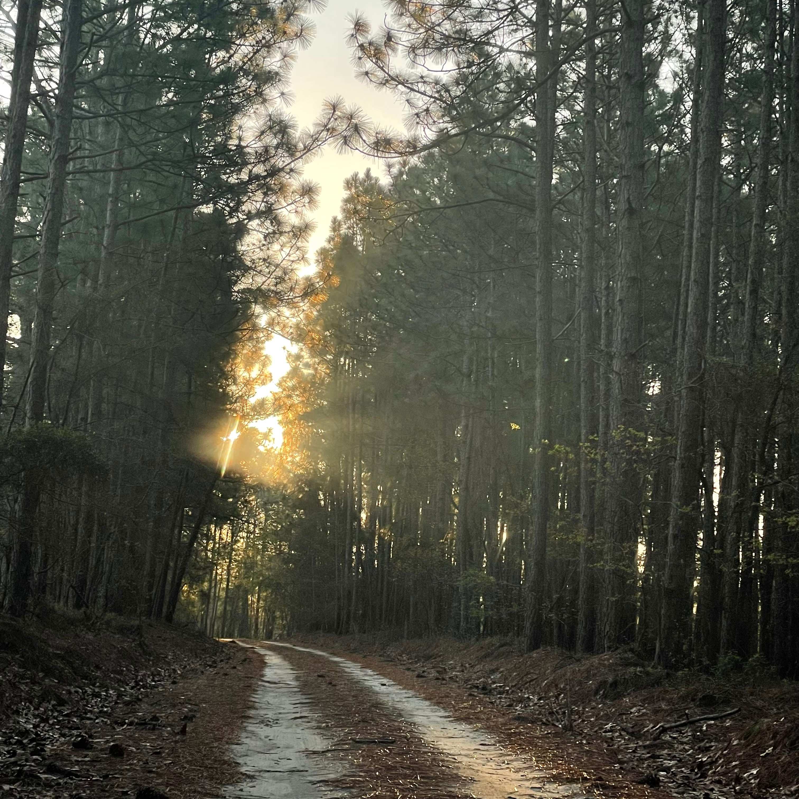Camp, Mountain bike, Disc golf.