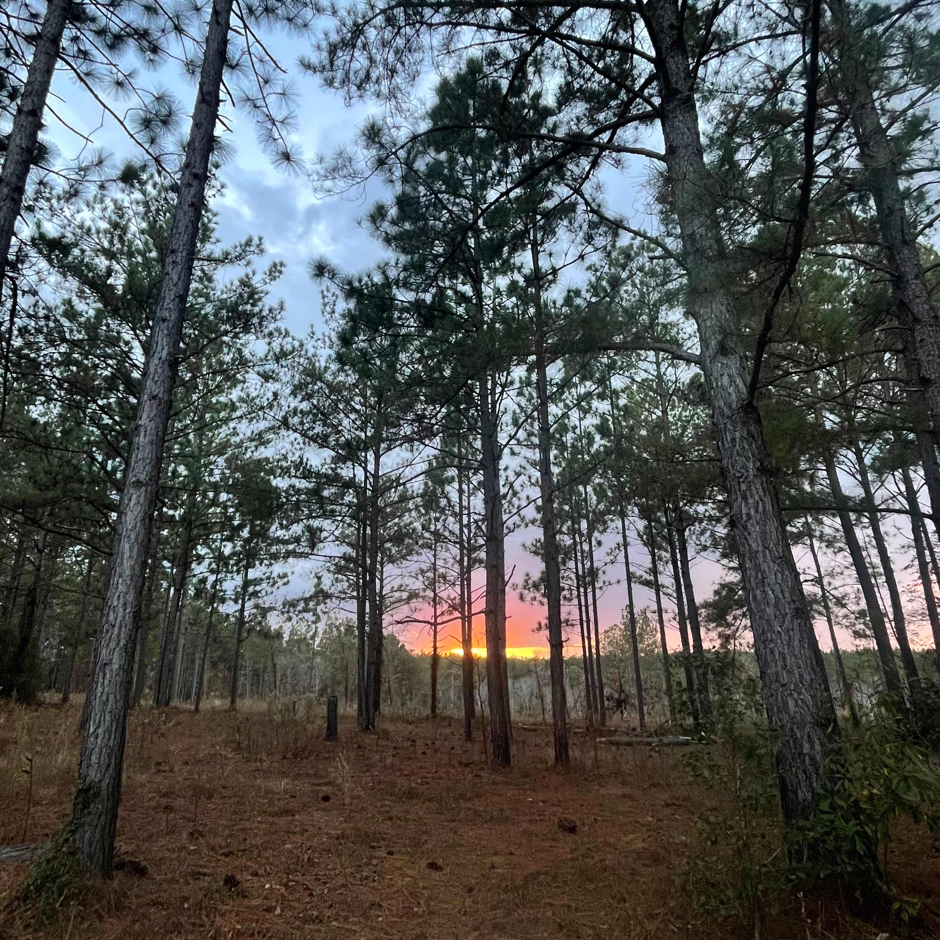 Camp, Mountain bike, Disc golf.