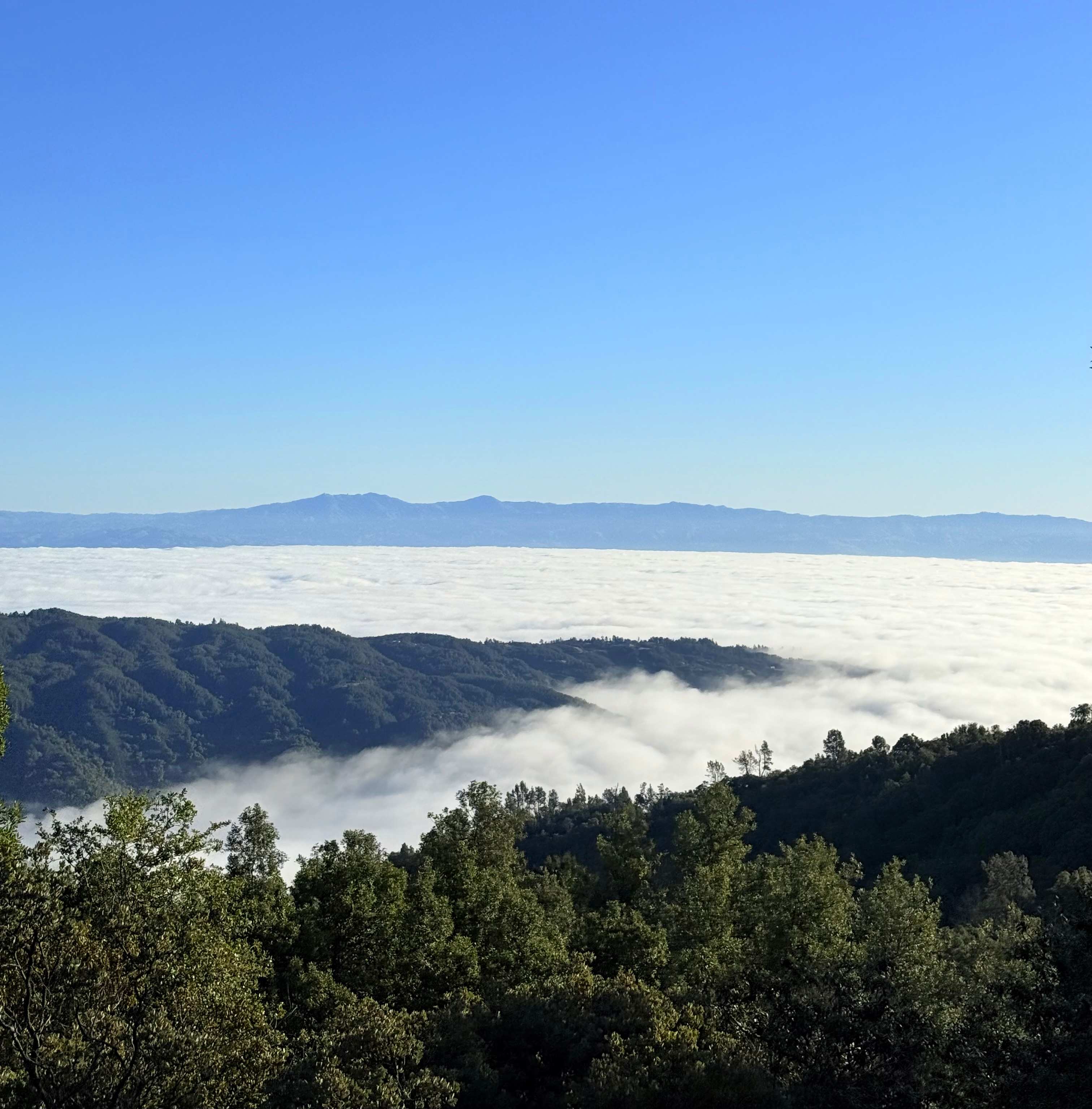 Above the clouds 