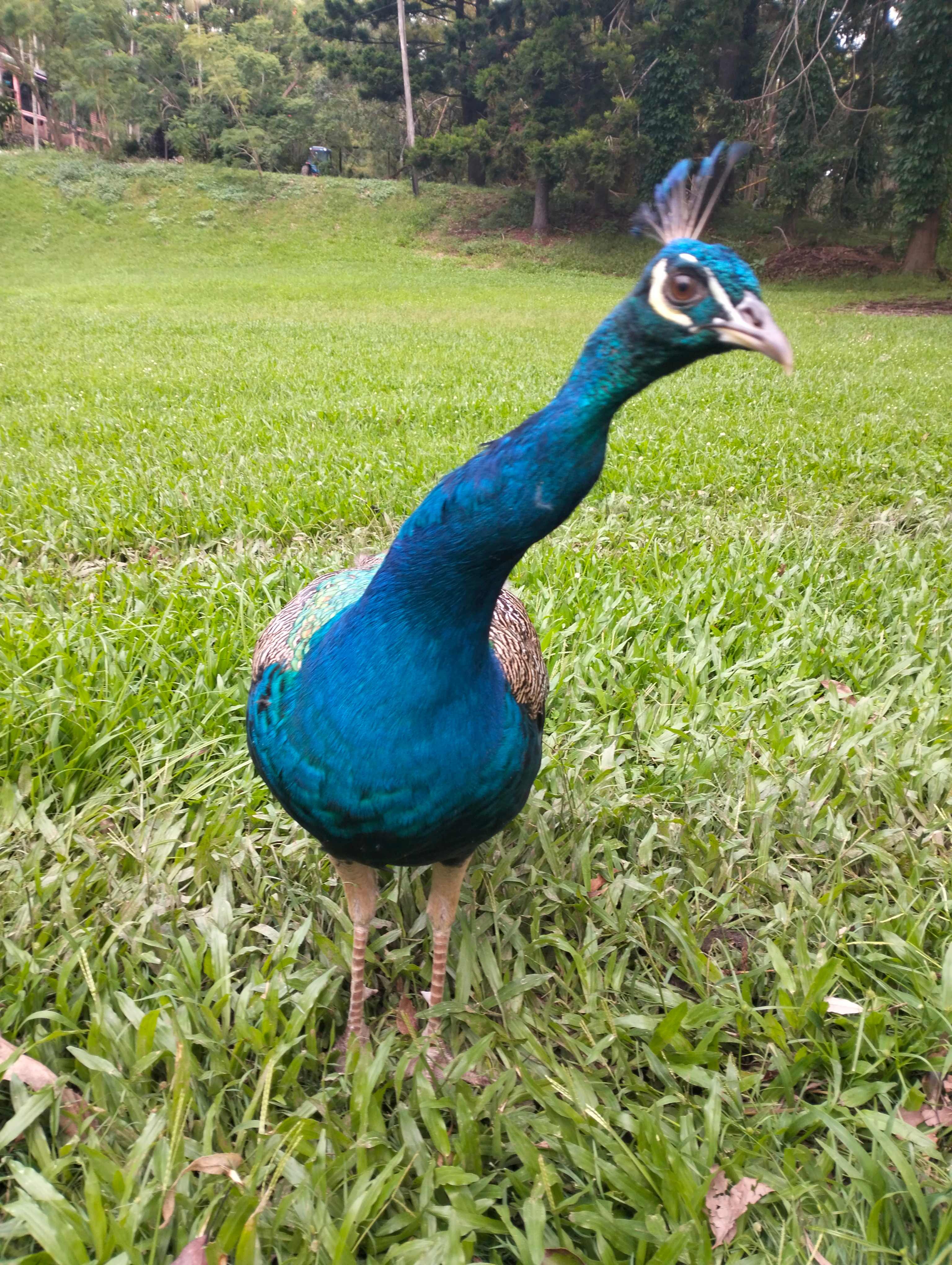 Tallebudgera Veg Sanctuary.
