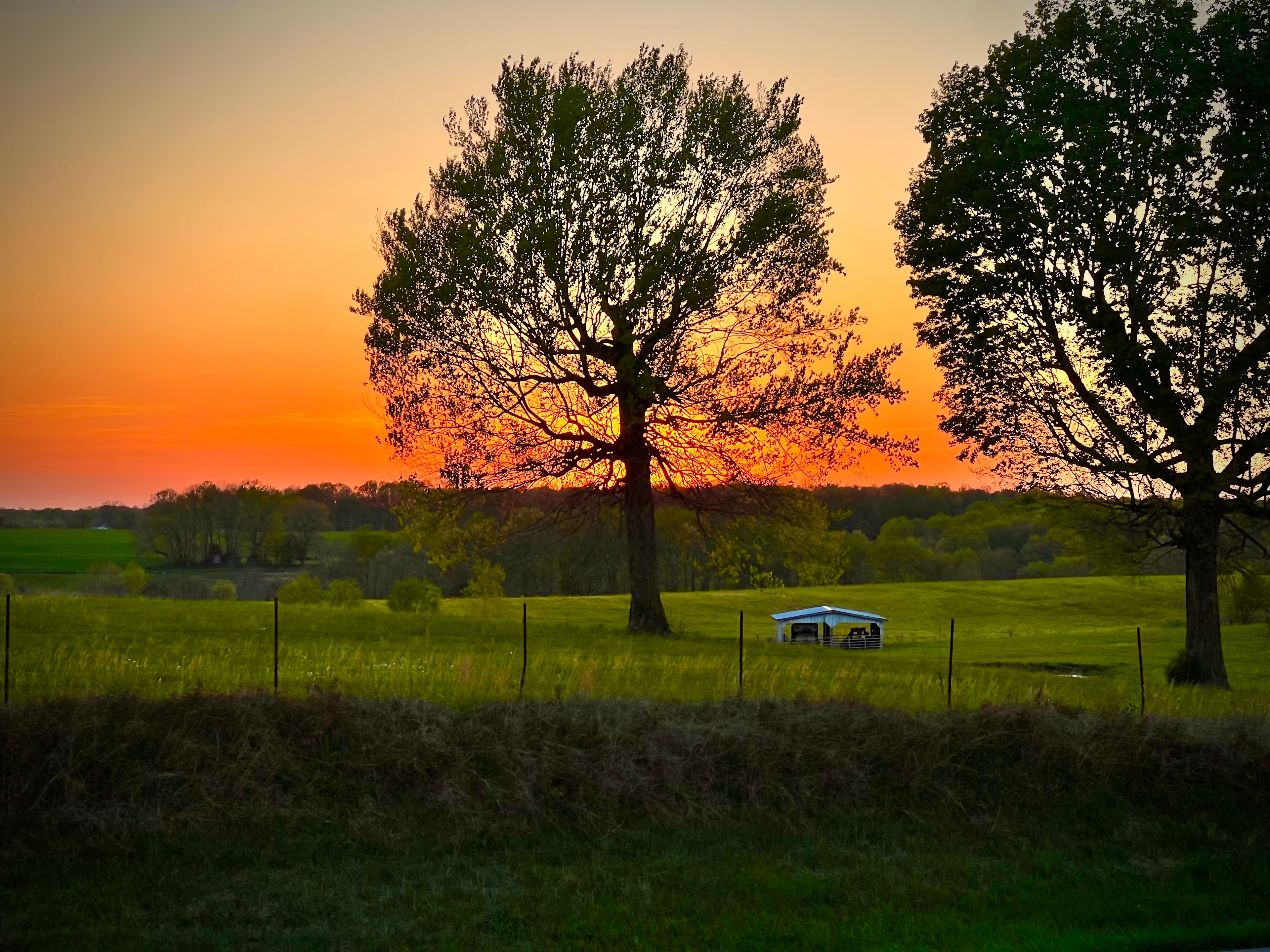 Gorgeous sunsets and night skies.