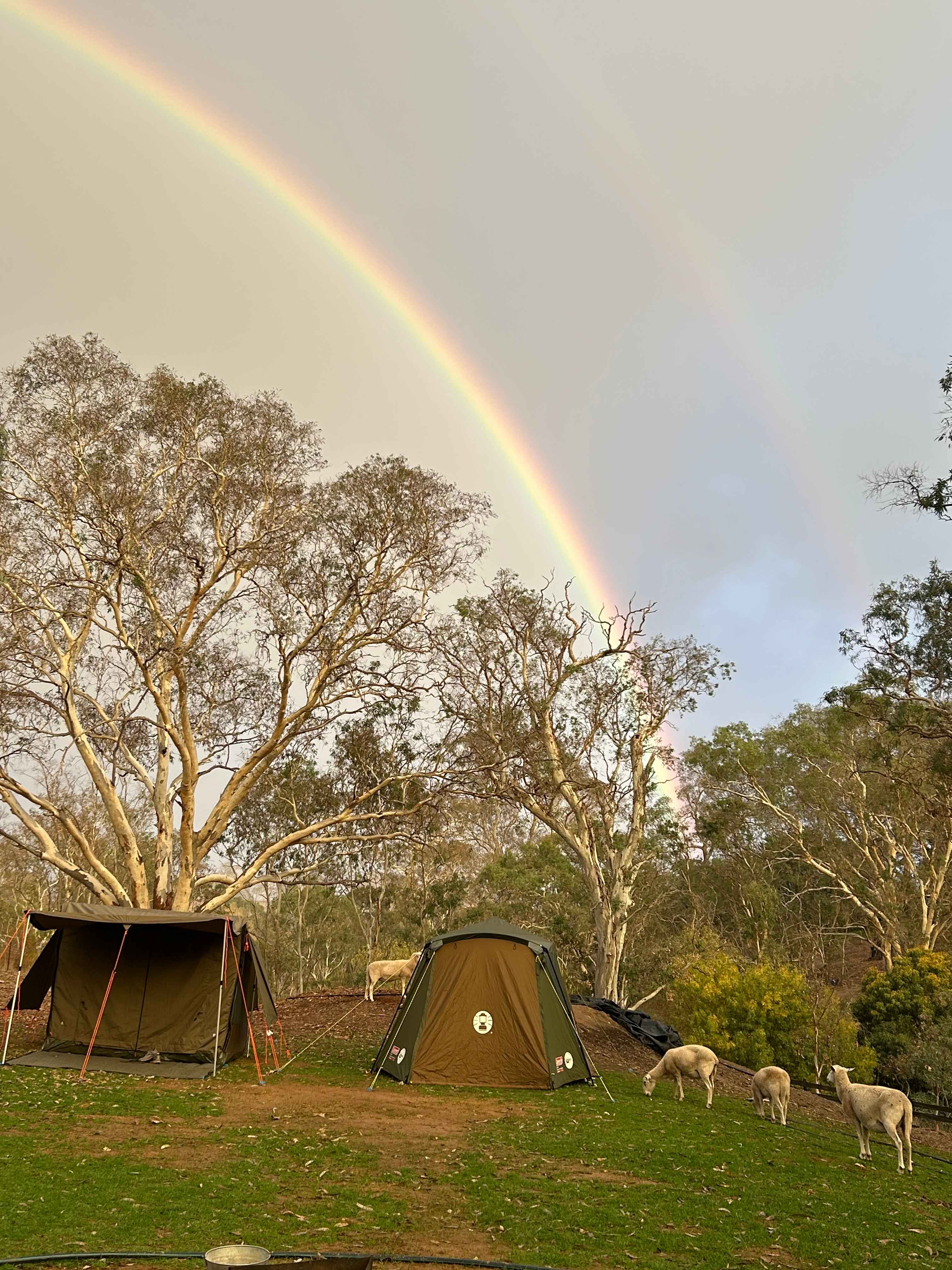 Sunset Rocks Farmstay