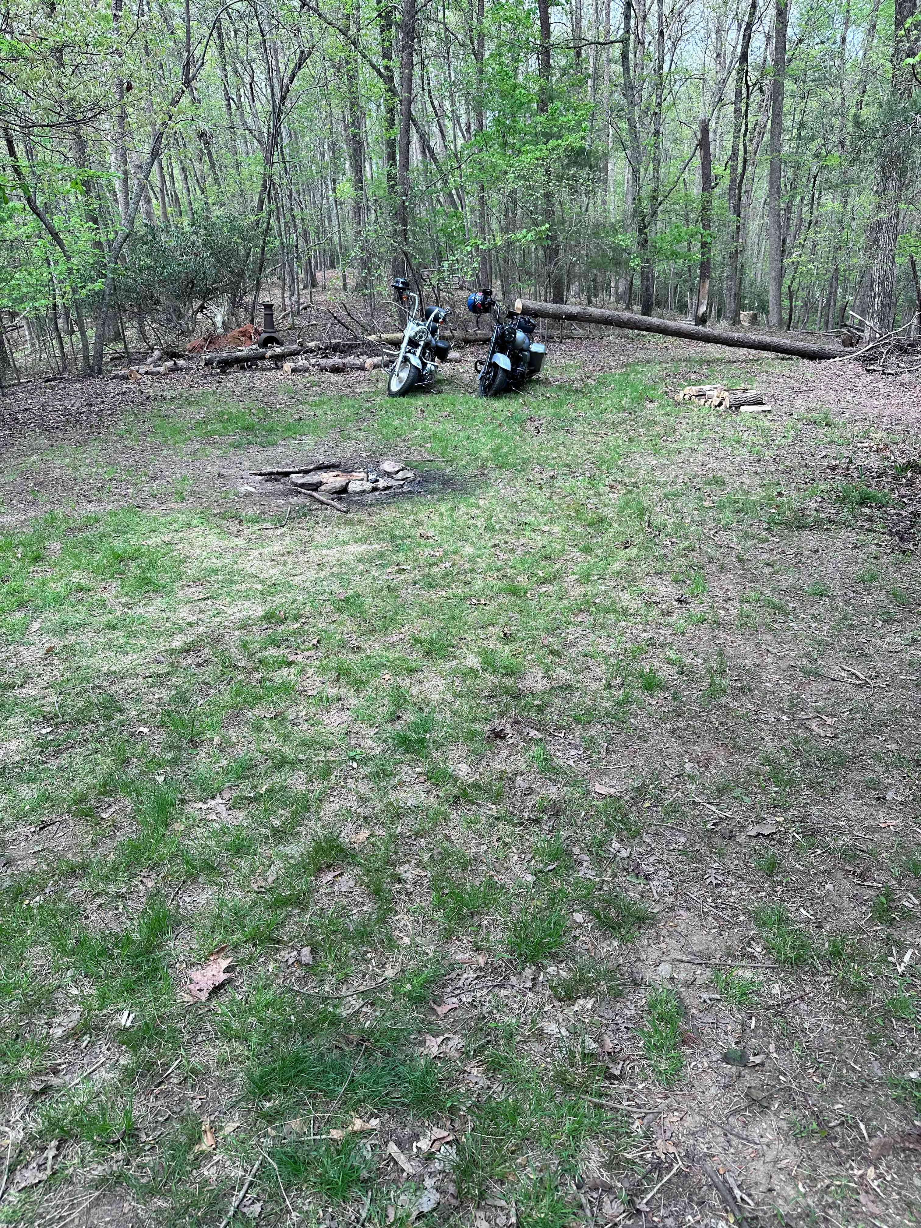 Wooded Camping at Pond