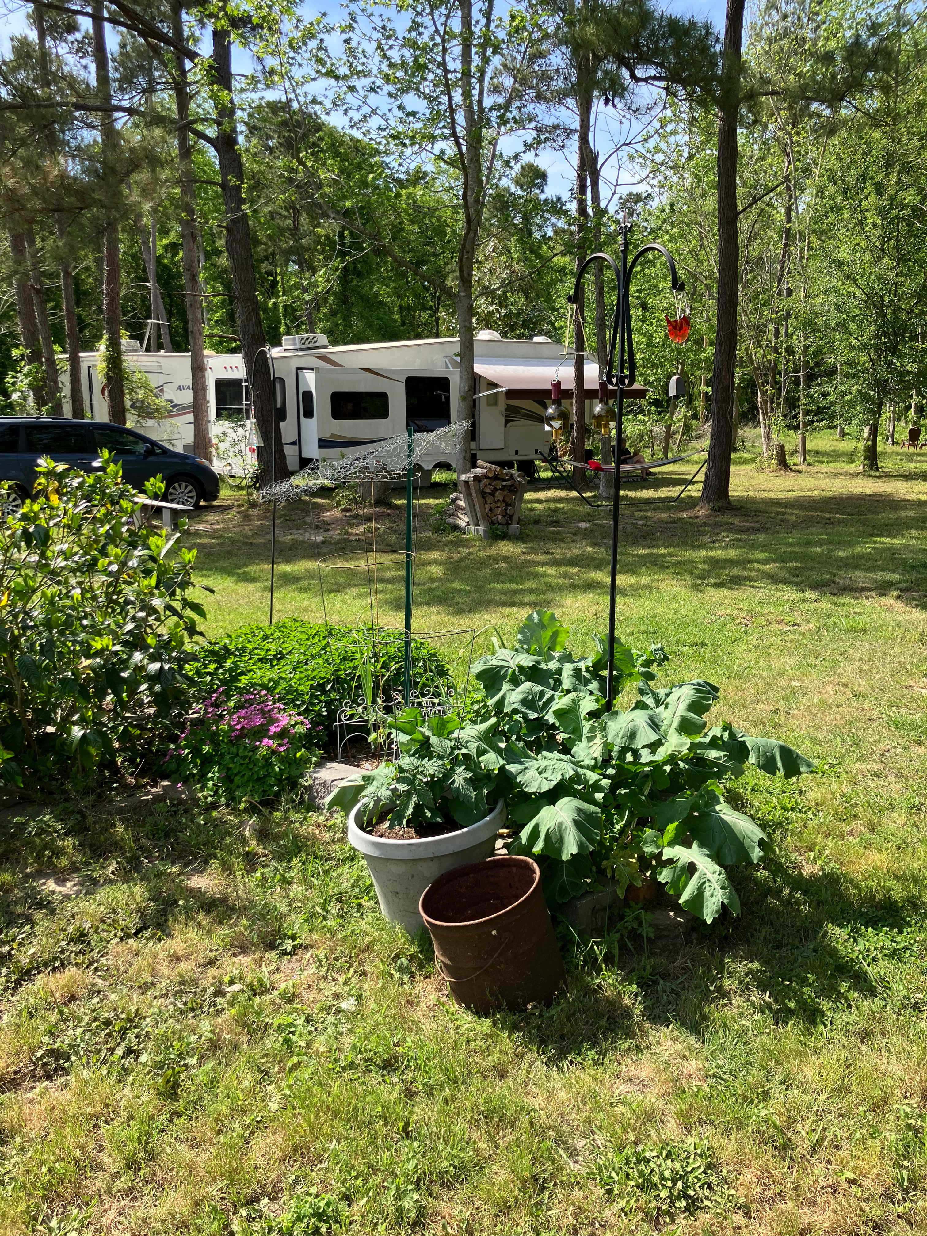 Patricia’s little garden