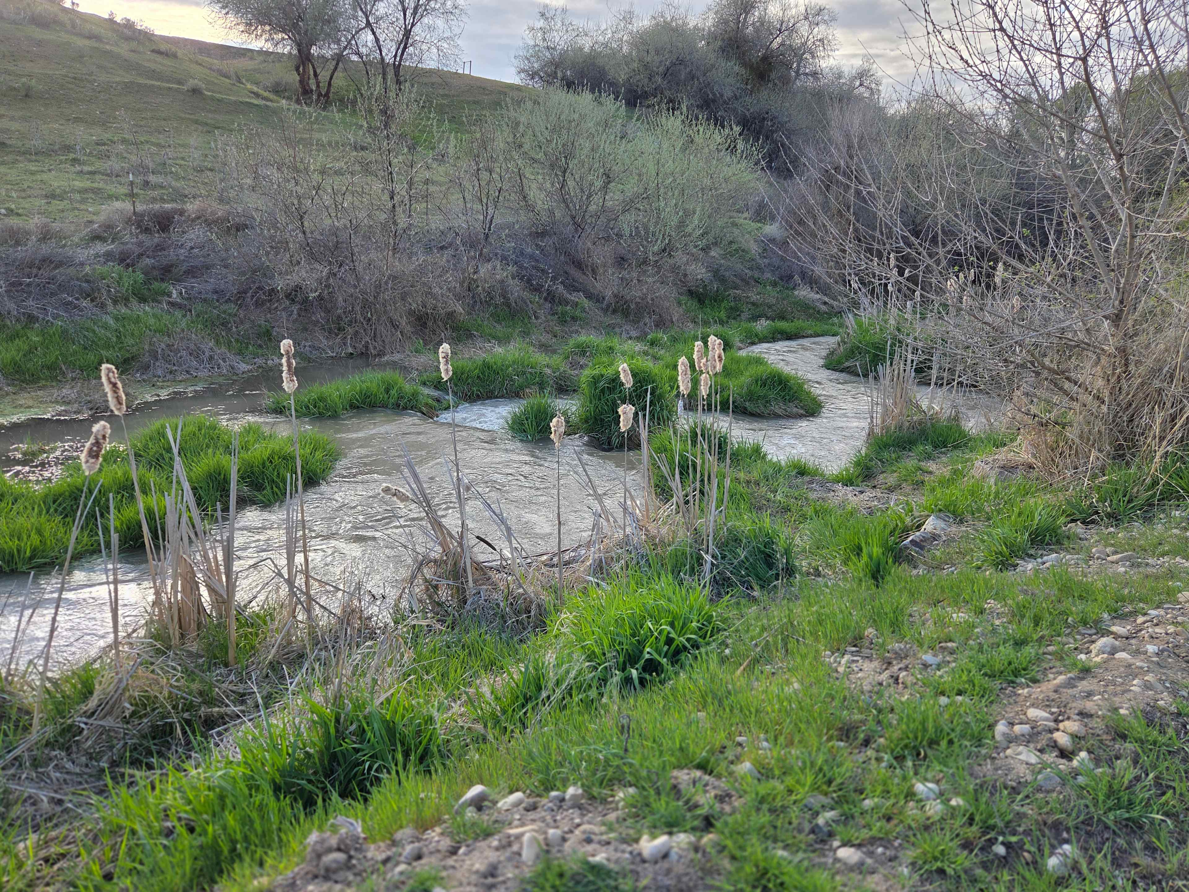 The canal by the Willow & Aspen campsite