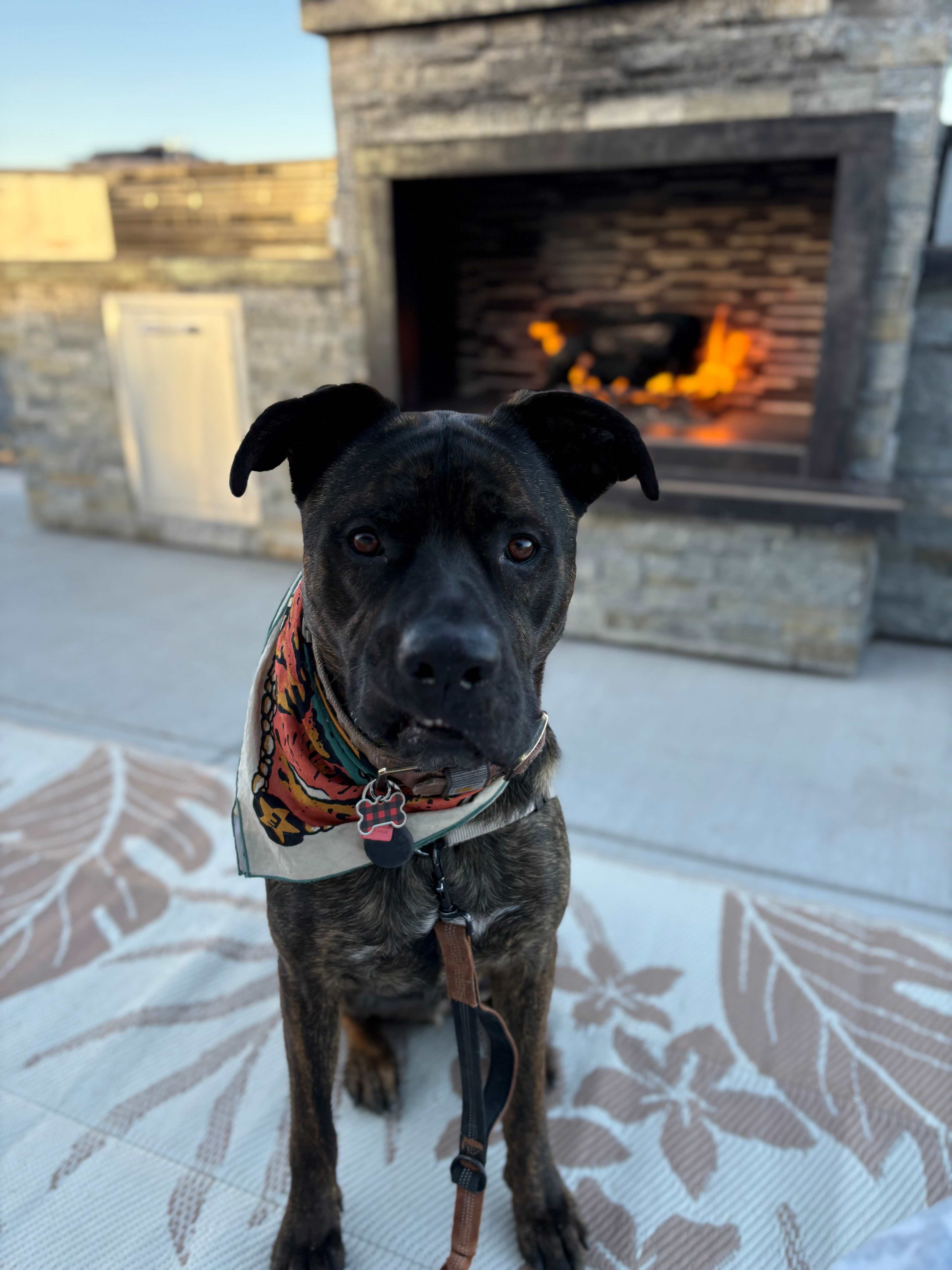 Fireplace
