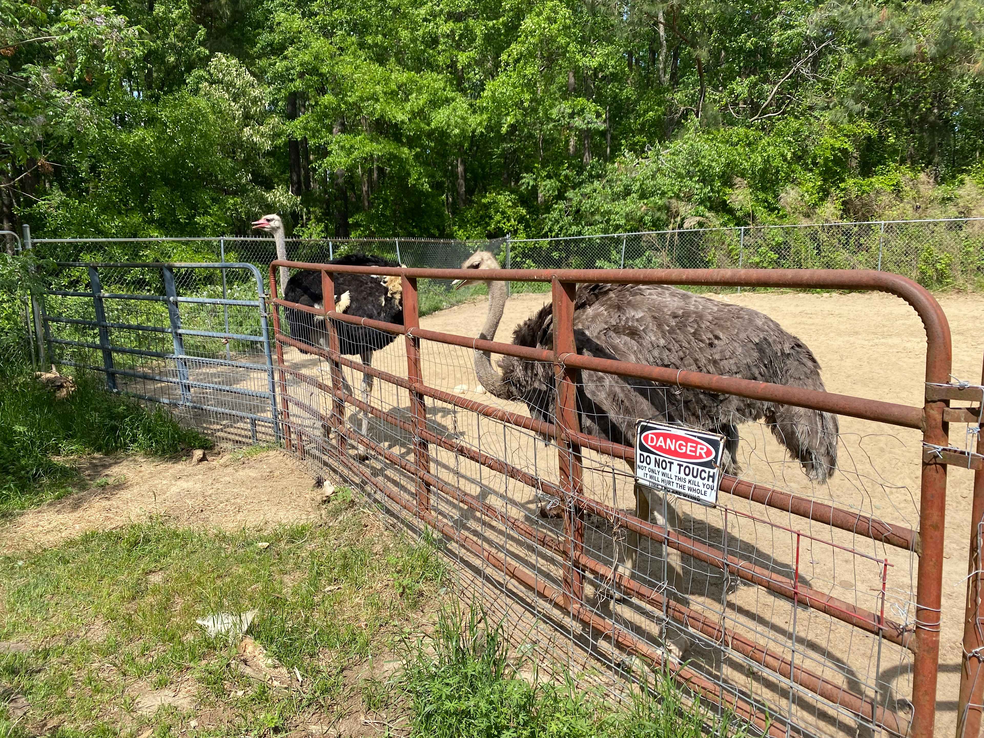 Animal Sanctuary and Peace Park