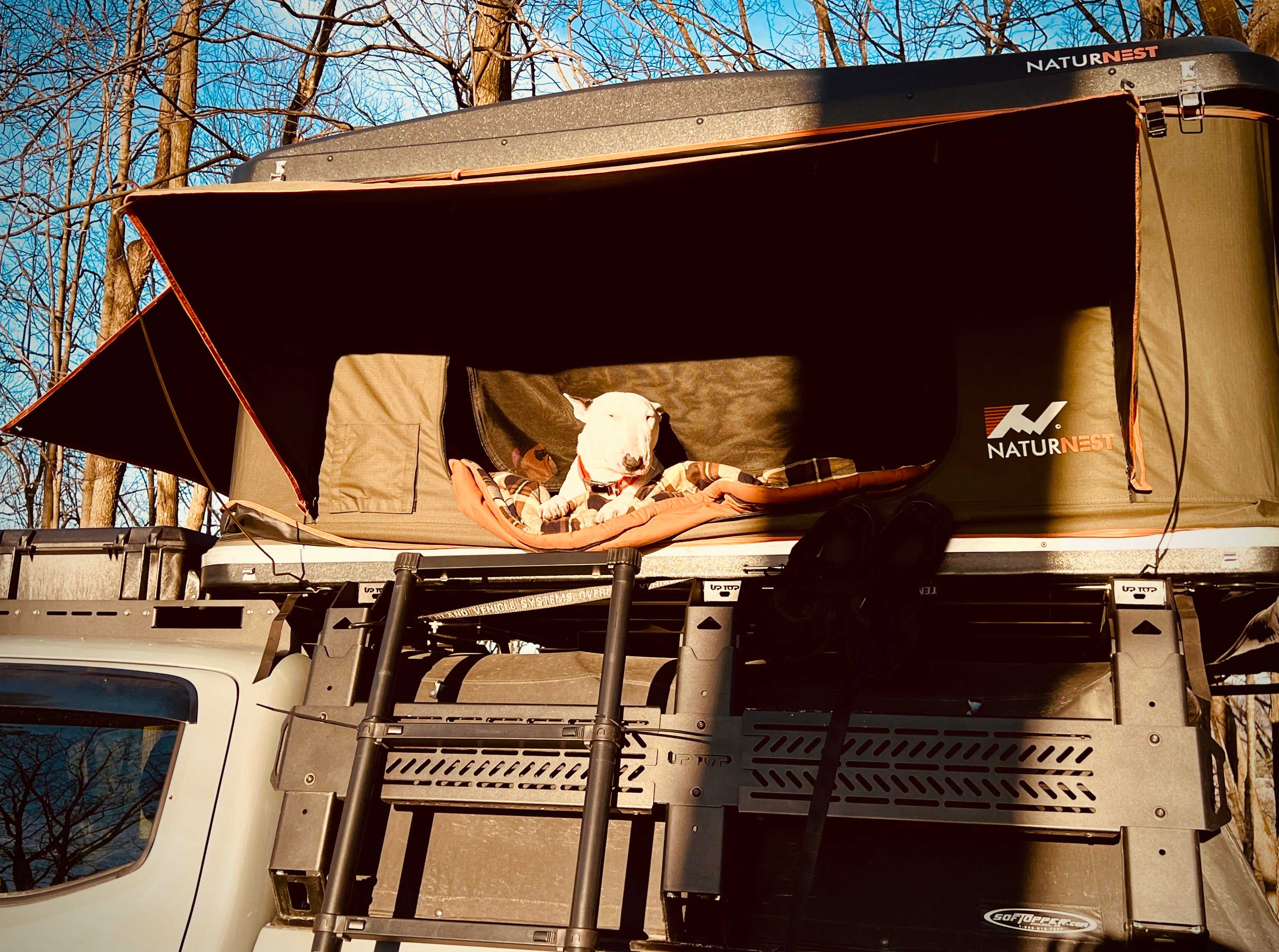 Butternut Lake Camping