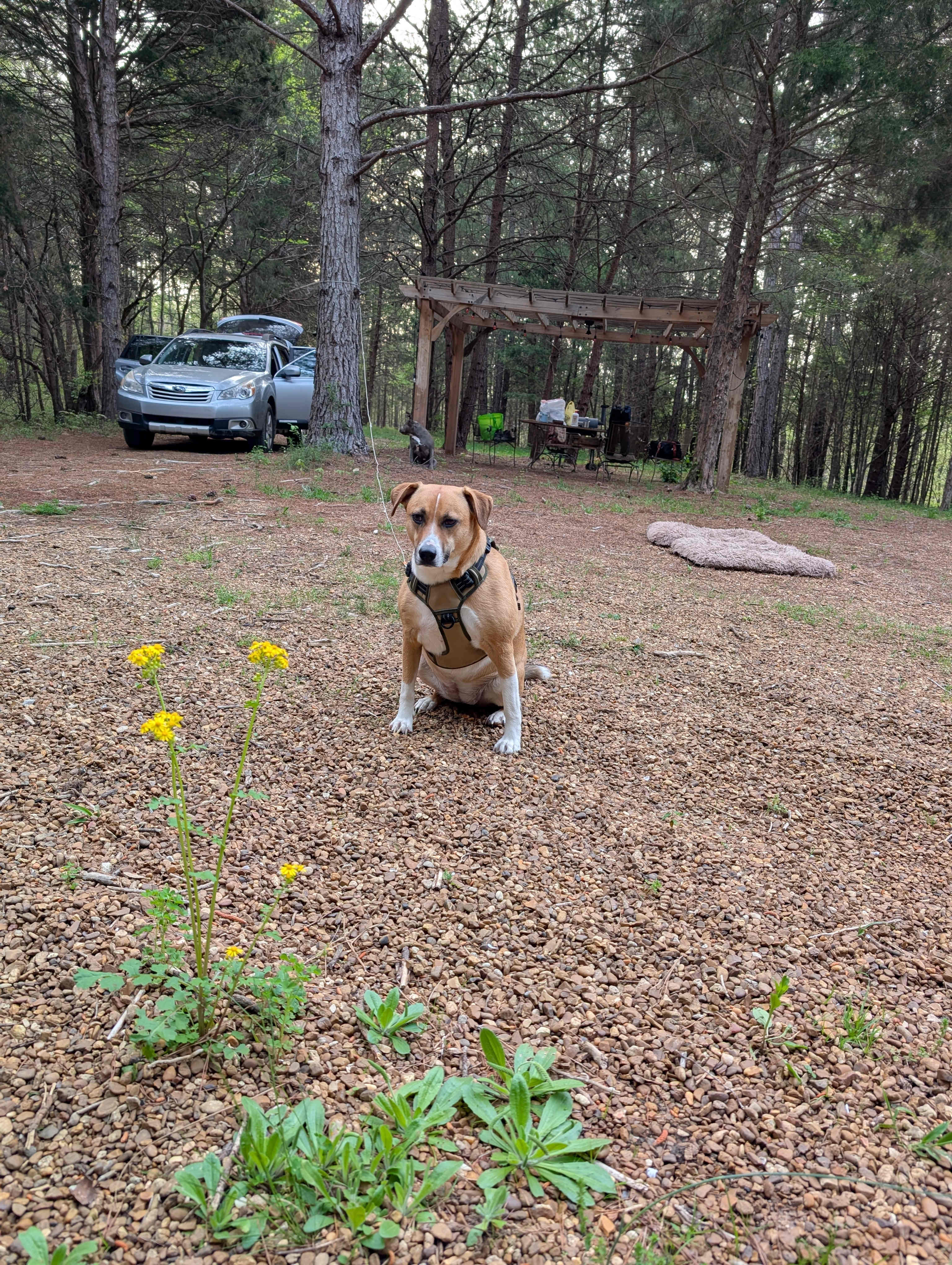 Lionsgate Campground