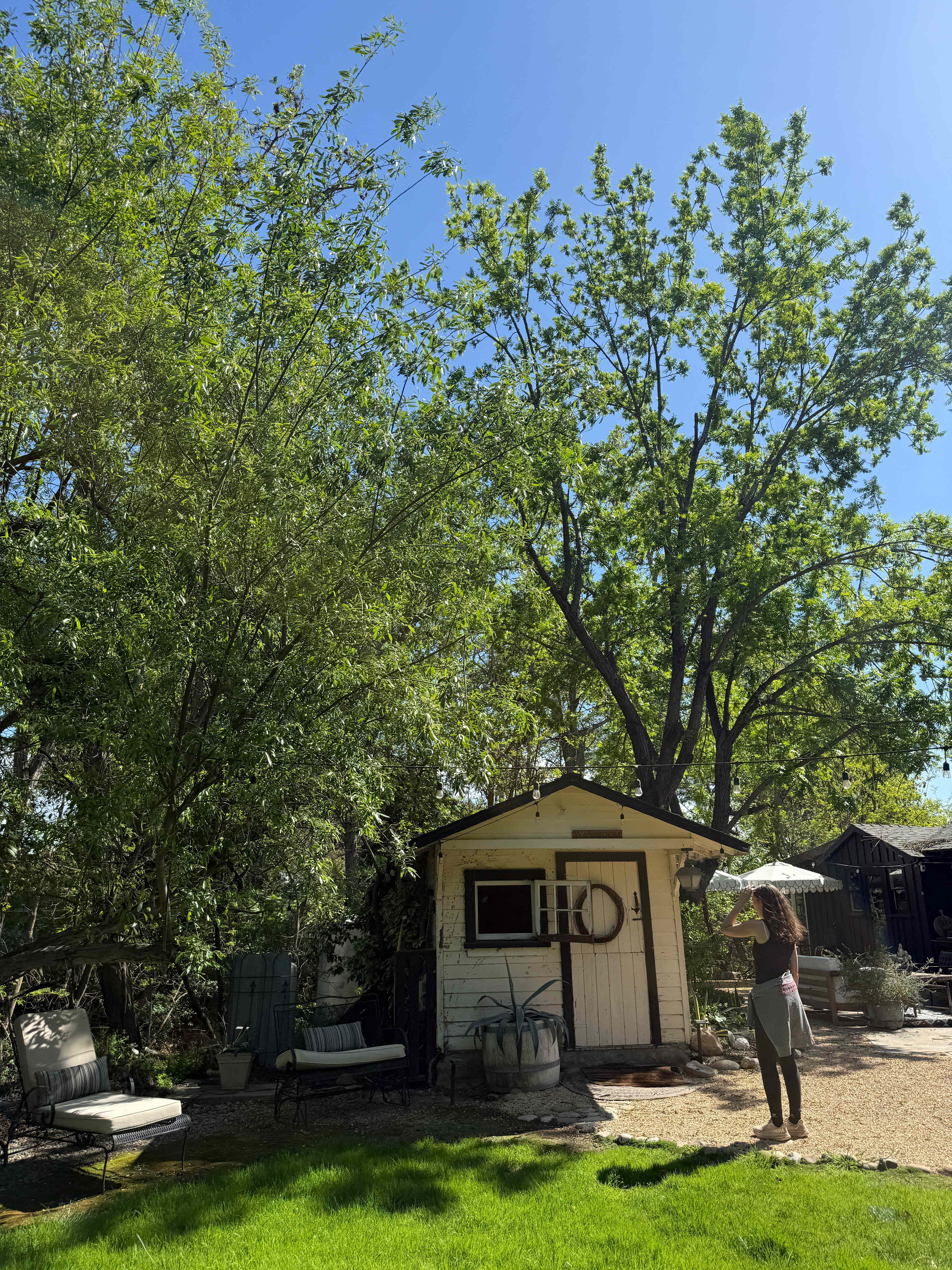 Lisa S.’s Land