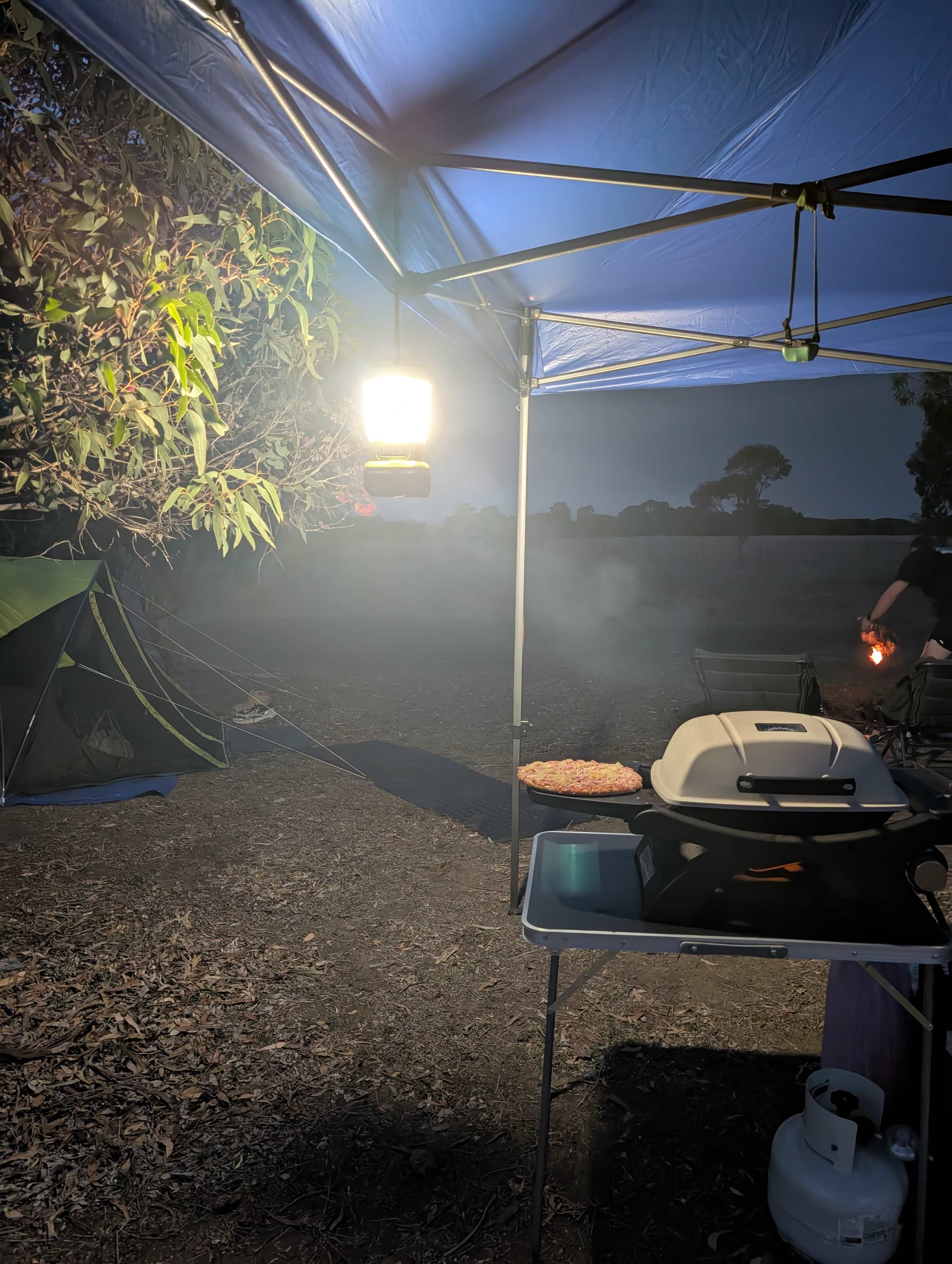 Reedy lakes farm stay