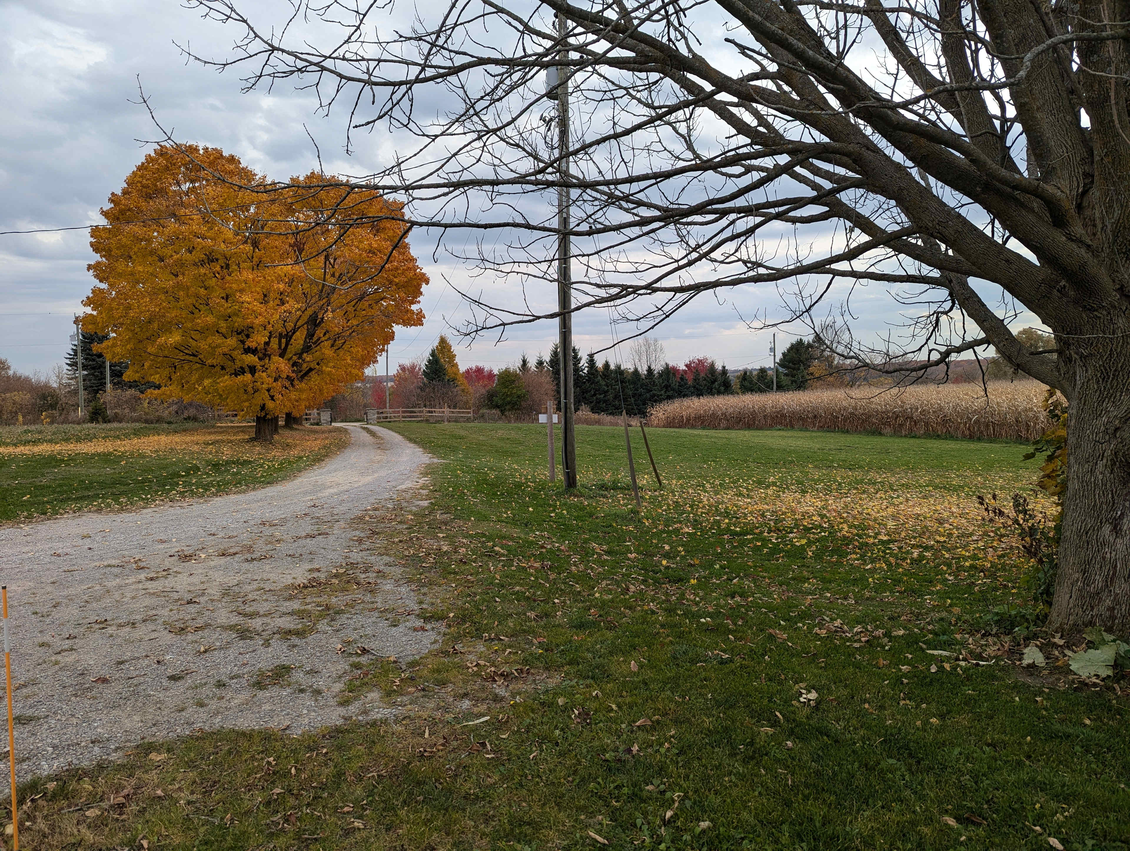 Farm with Views