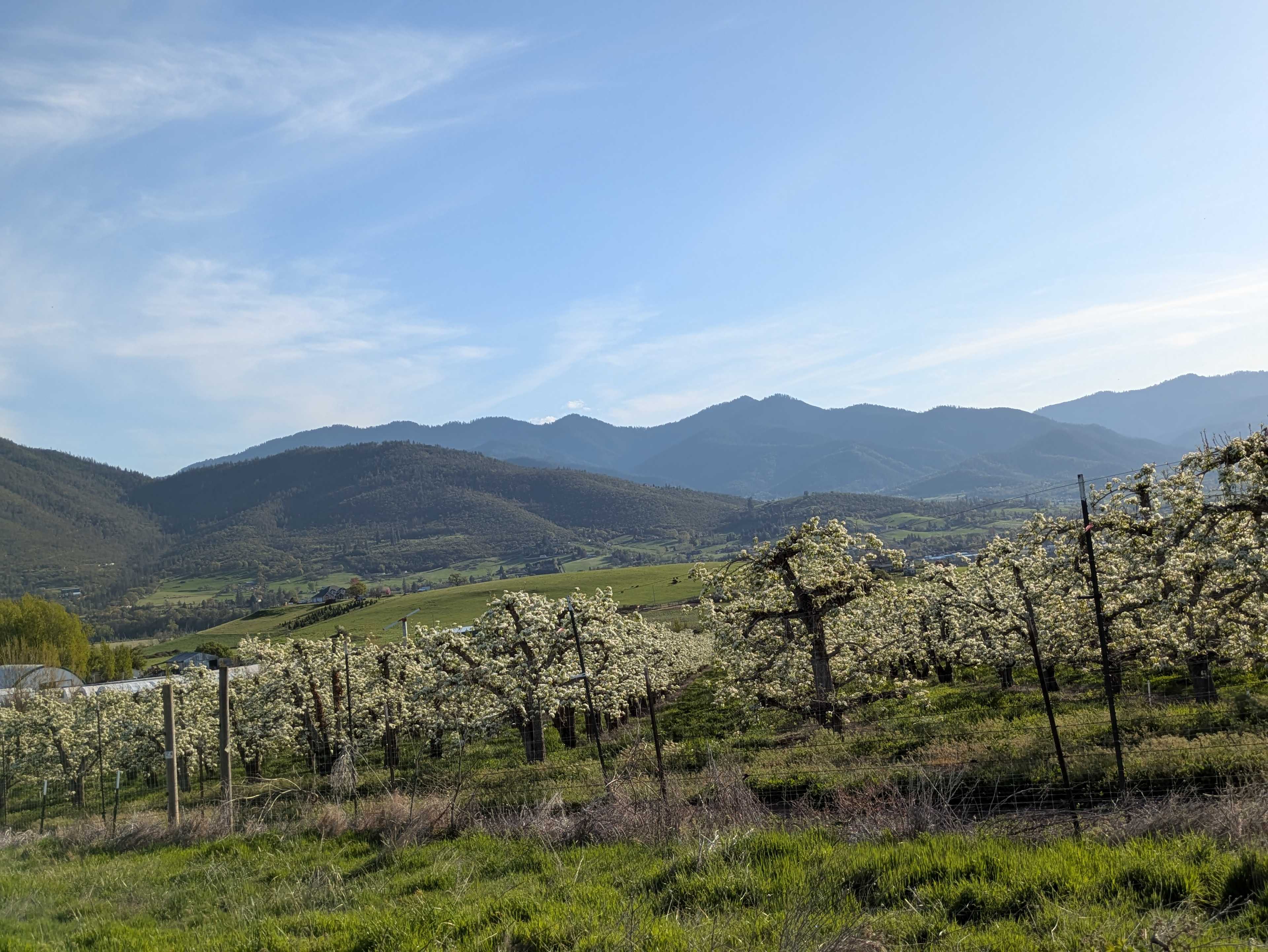 Mindful Earth Farm