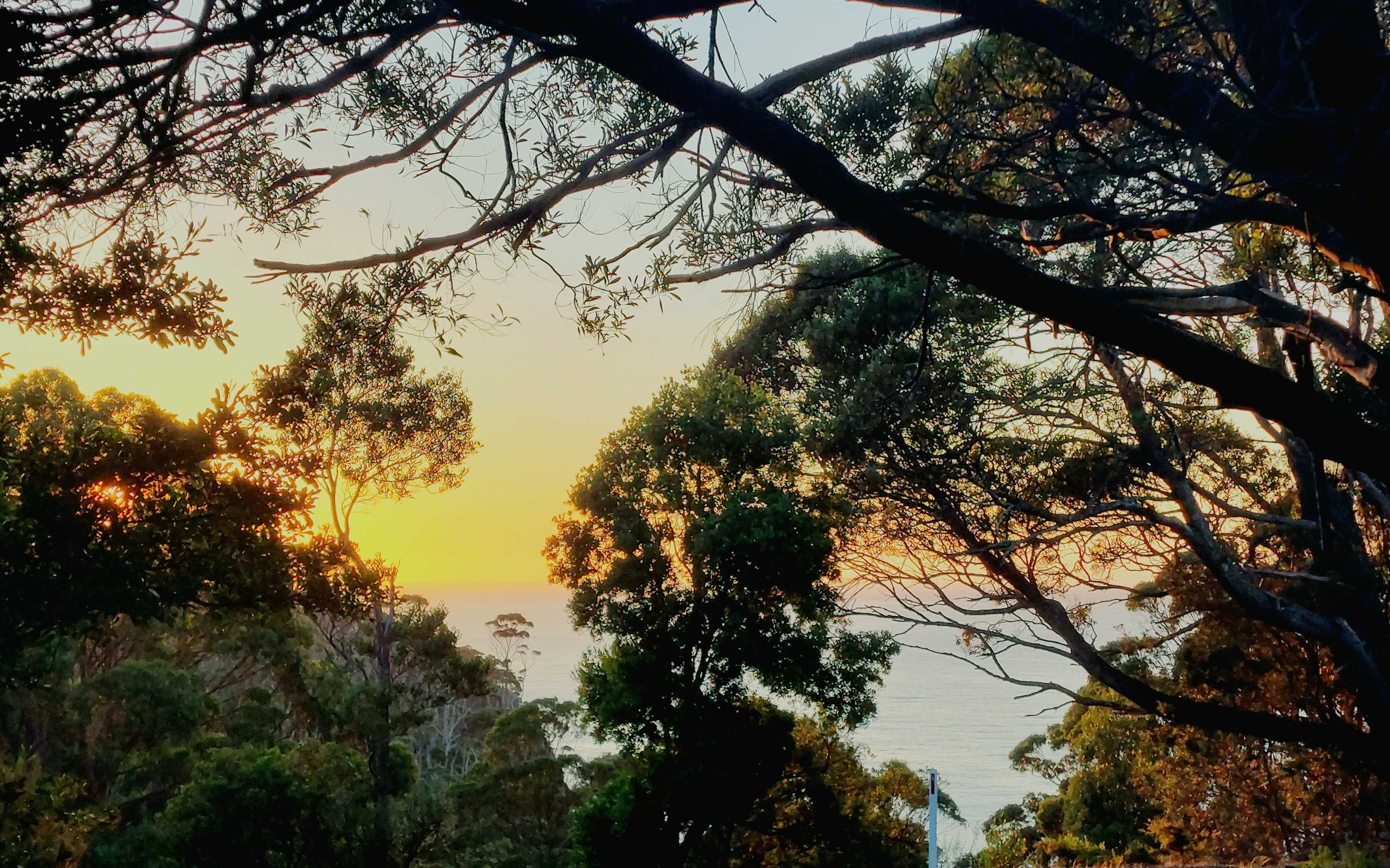 Sunrise