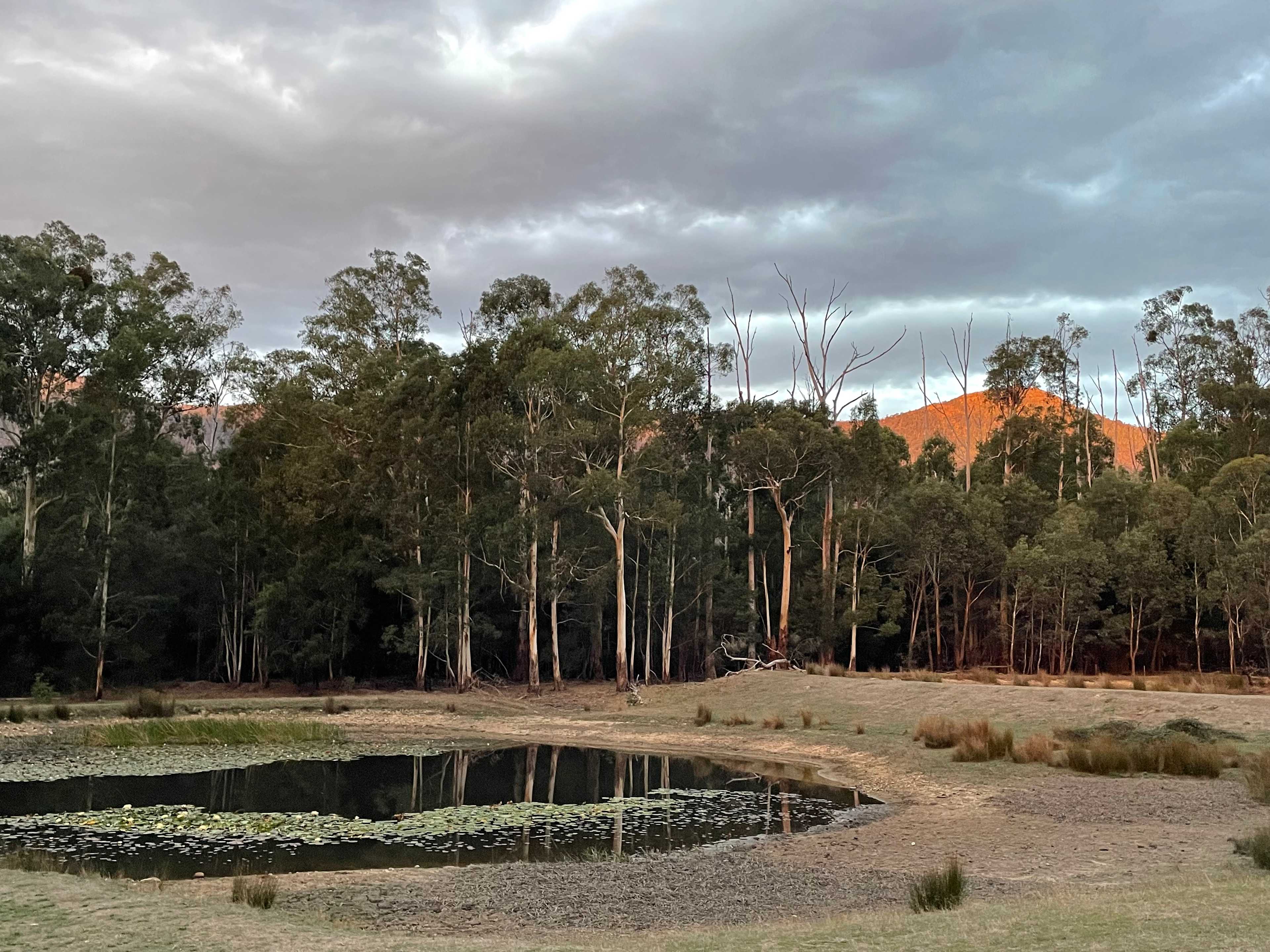 Cathedral Views Campsite