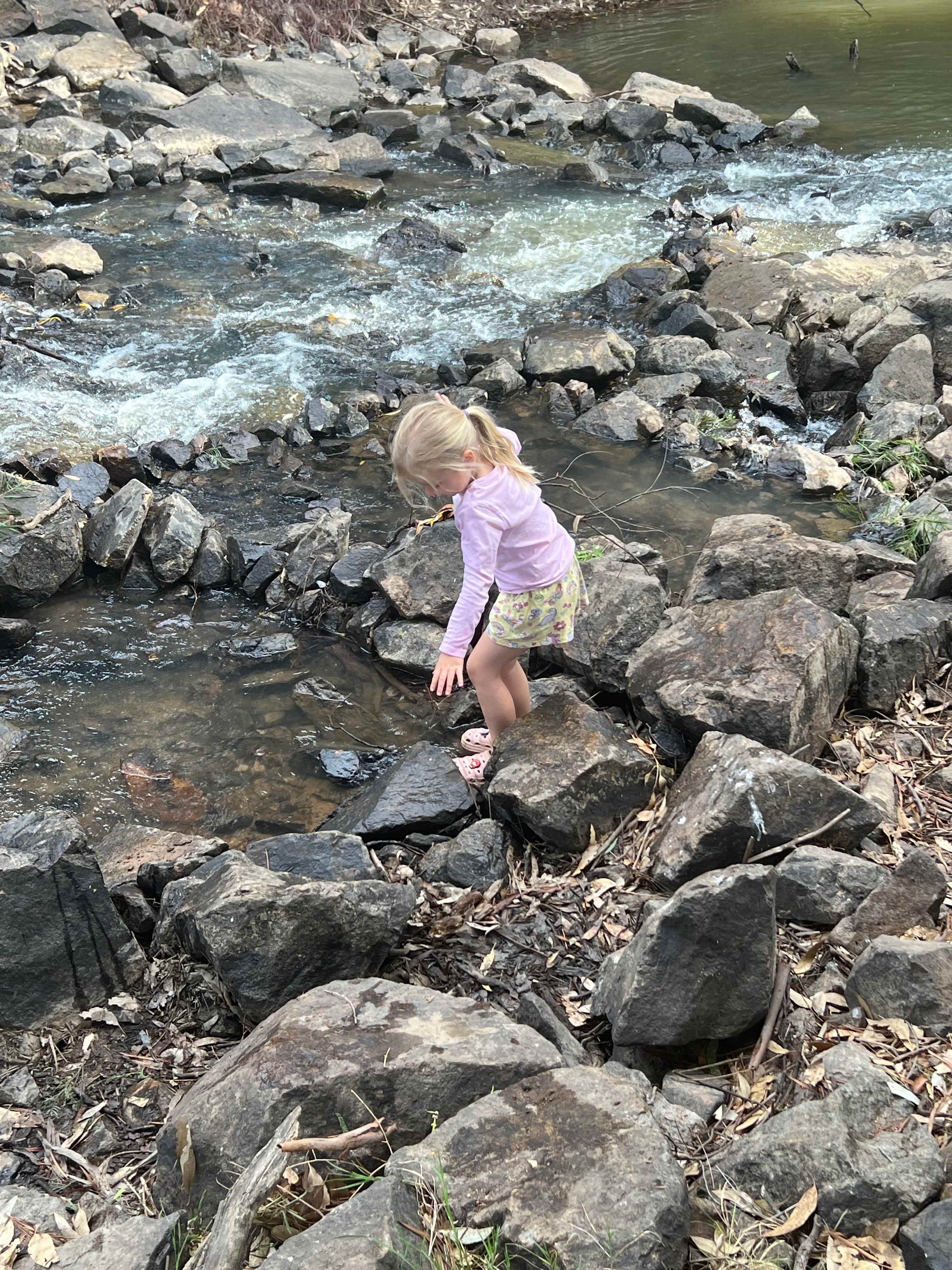 Jackaleah Farm Stay - Camping