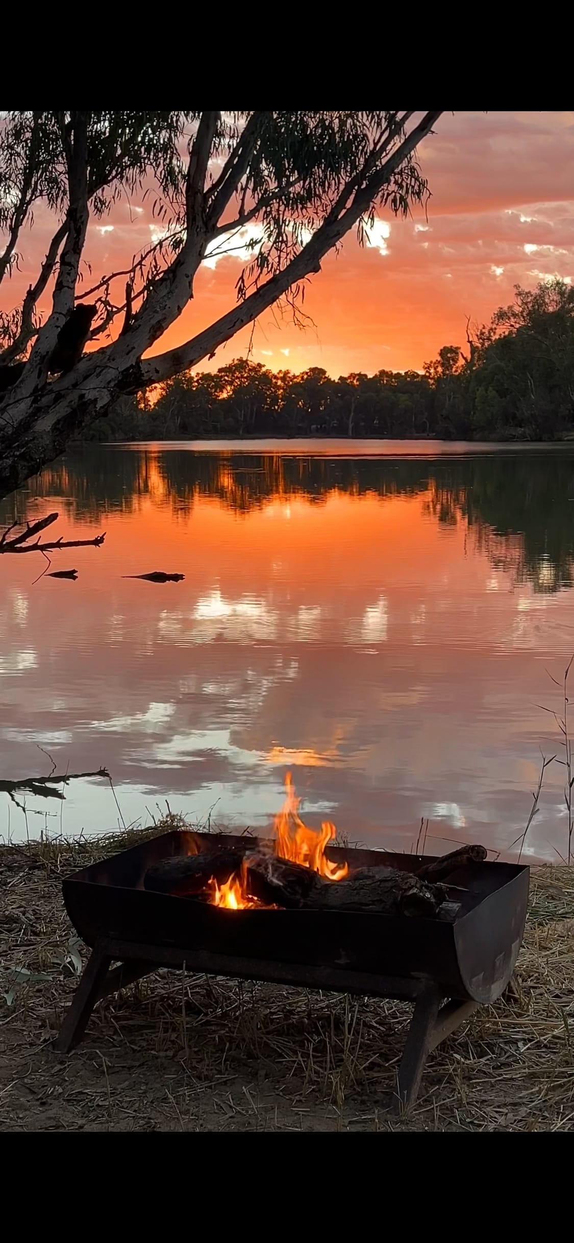 Rondel River Reserve