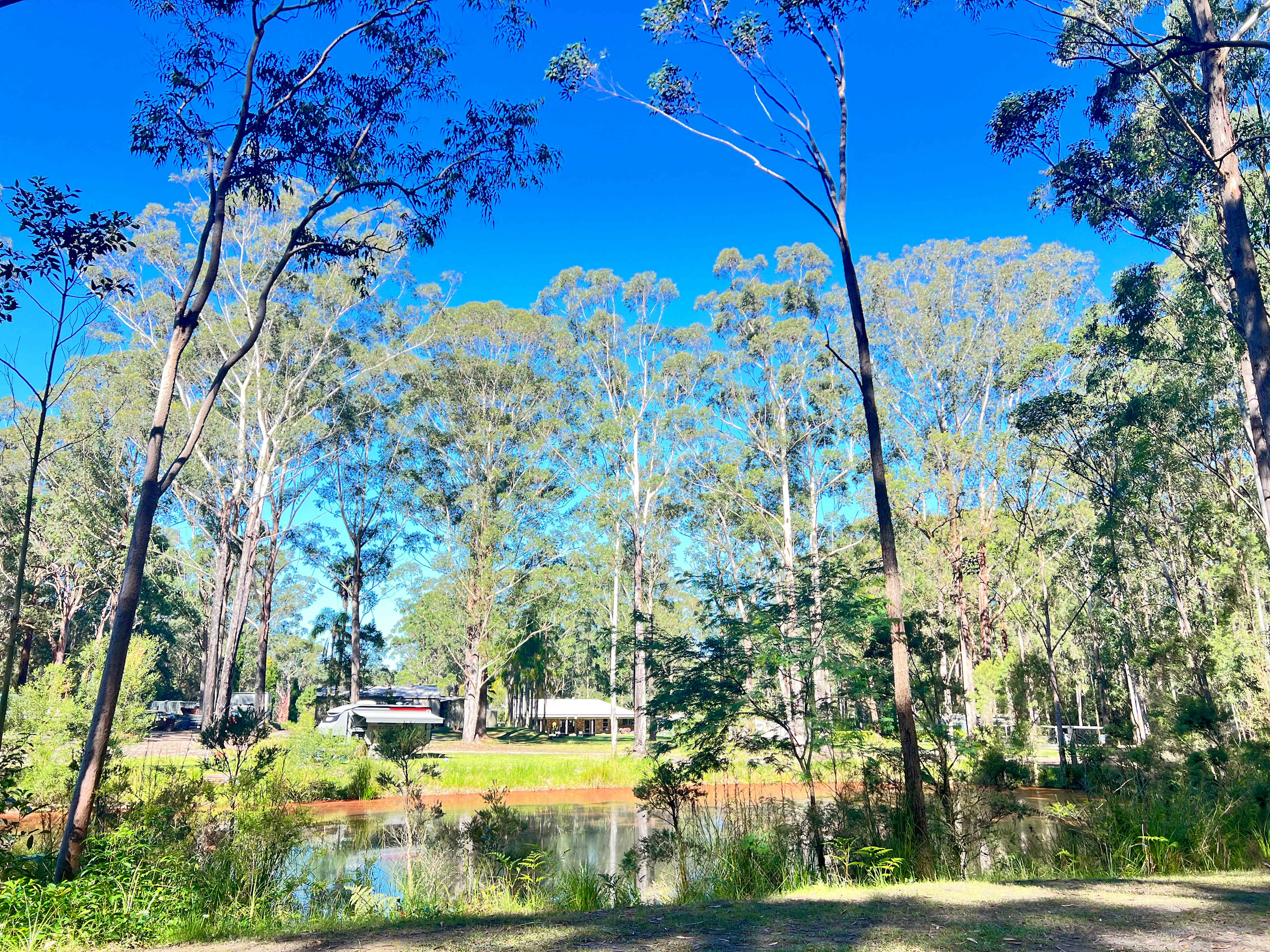Mistinthegumtrees BUDGET 2 GLAMPING