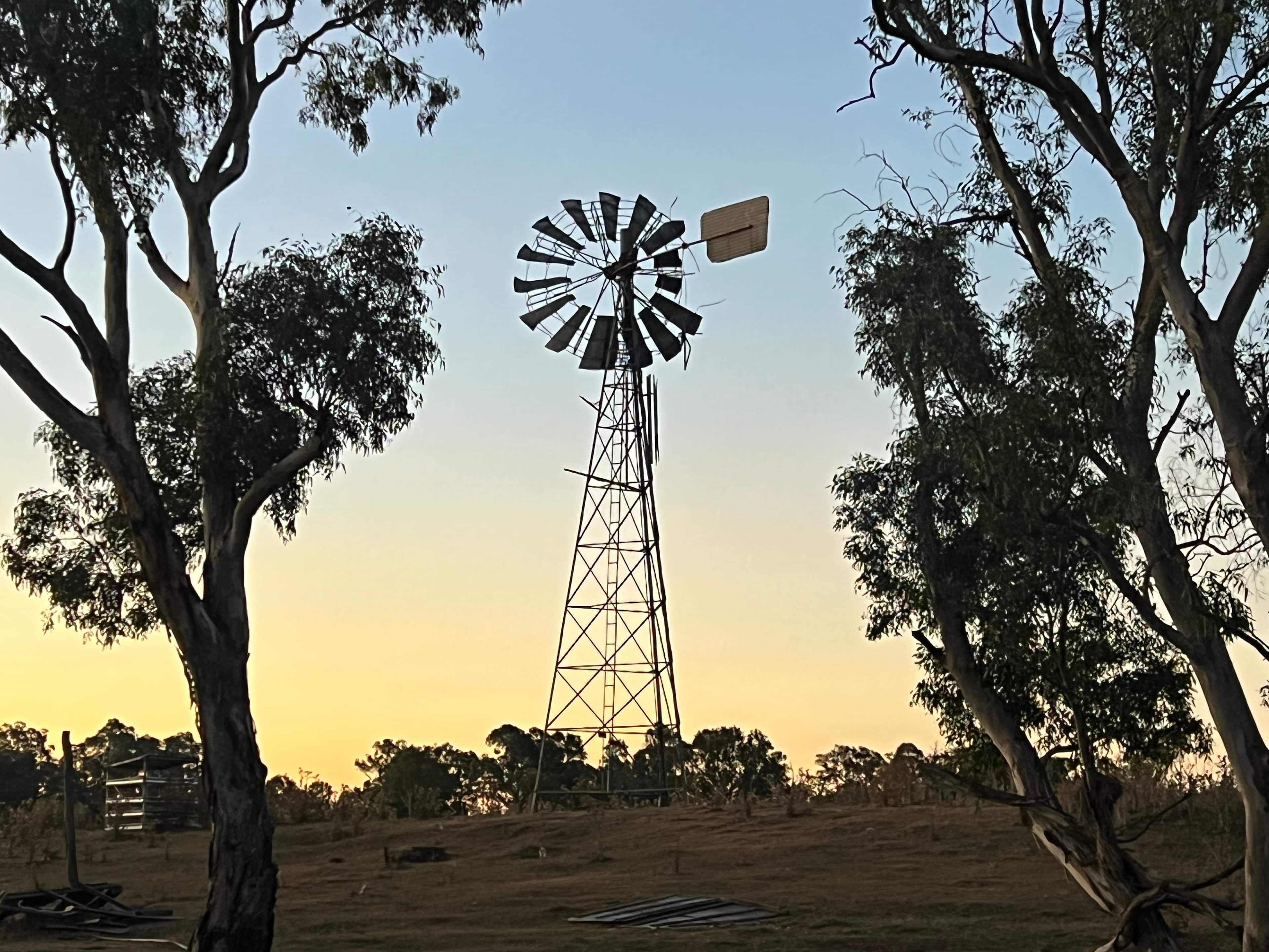 Boorowa Hipcamp - Wombles Common