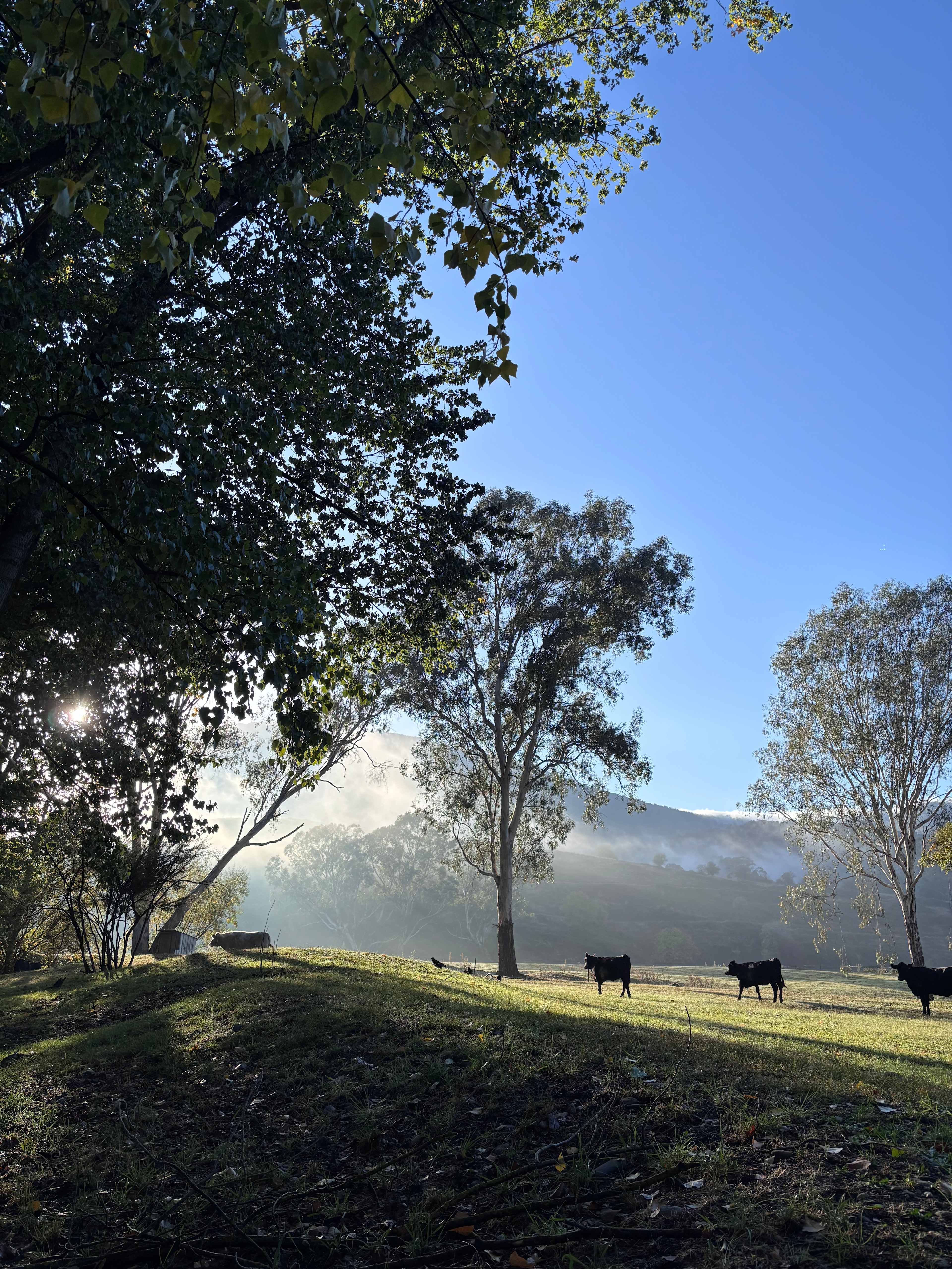 Kielock Homestead