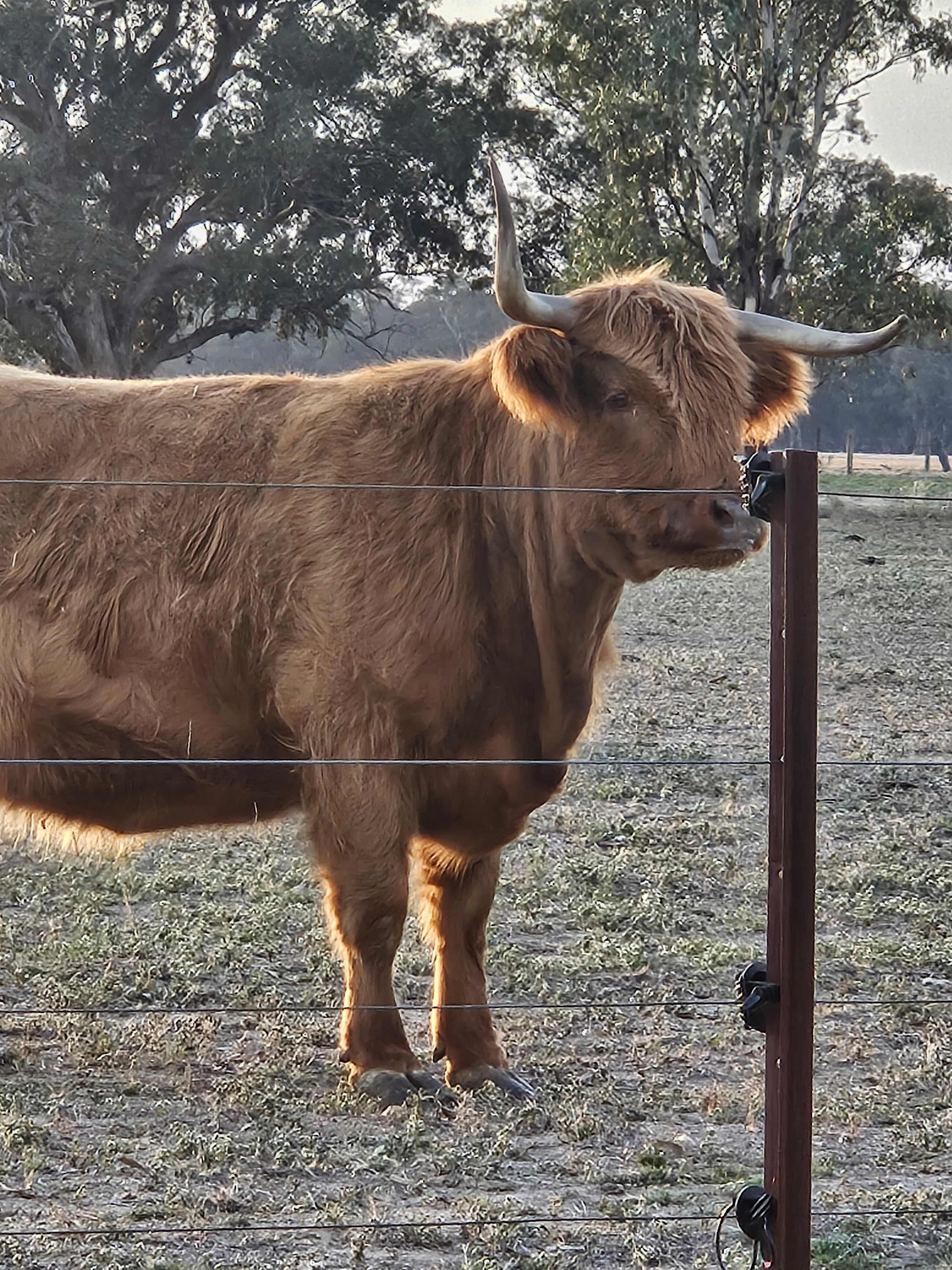 Red Rock Farm