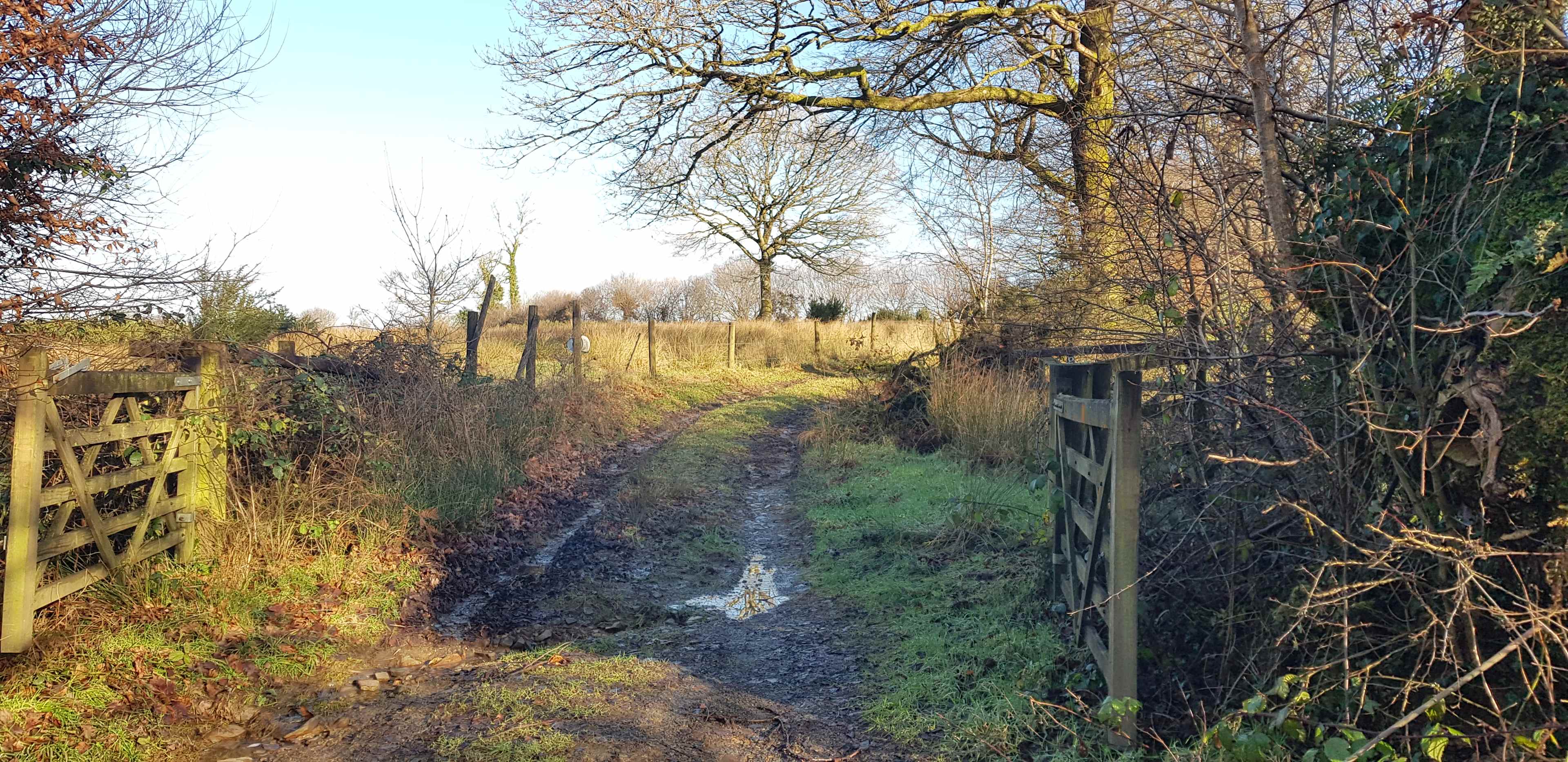 Access Track from public highway, pre-grading
