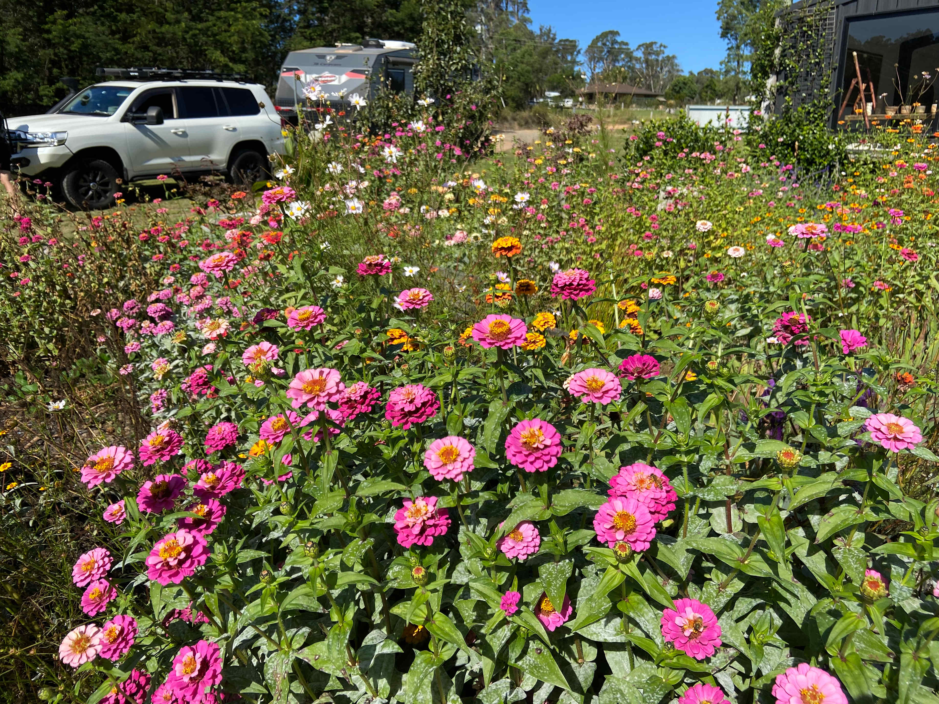 Little Paddocks Mogo