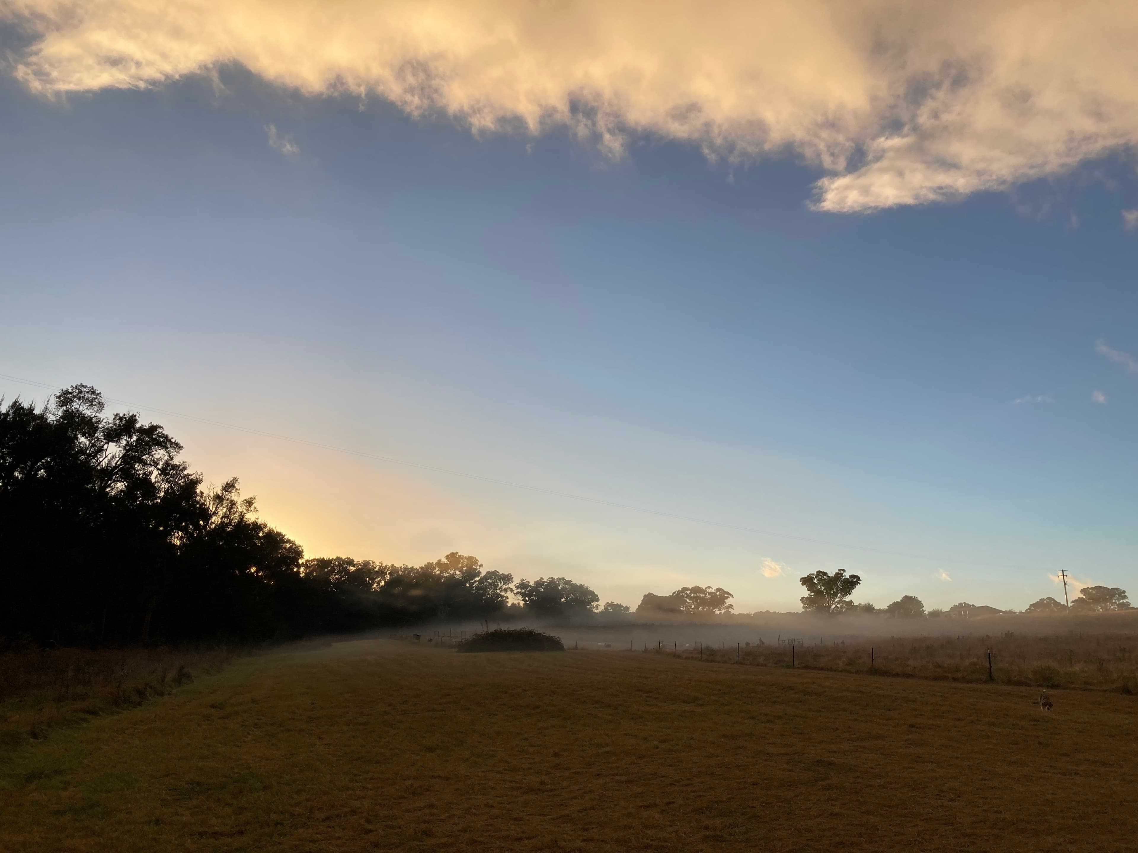 Riveroak Farm