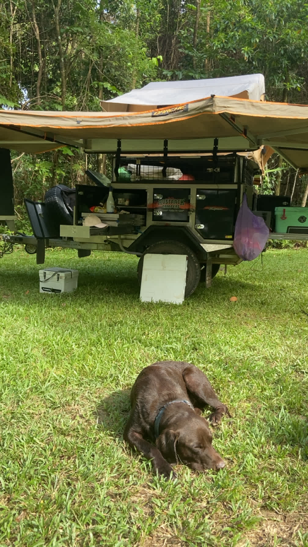 Rainforest Stream Near Cairns