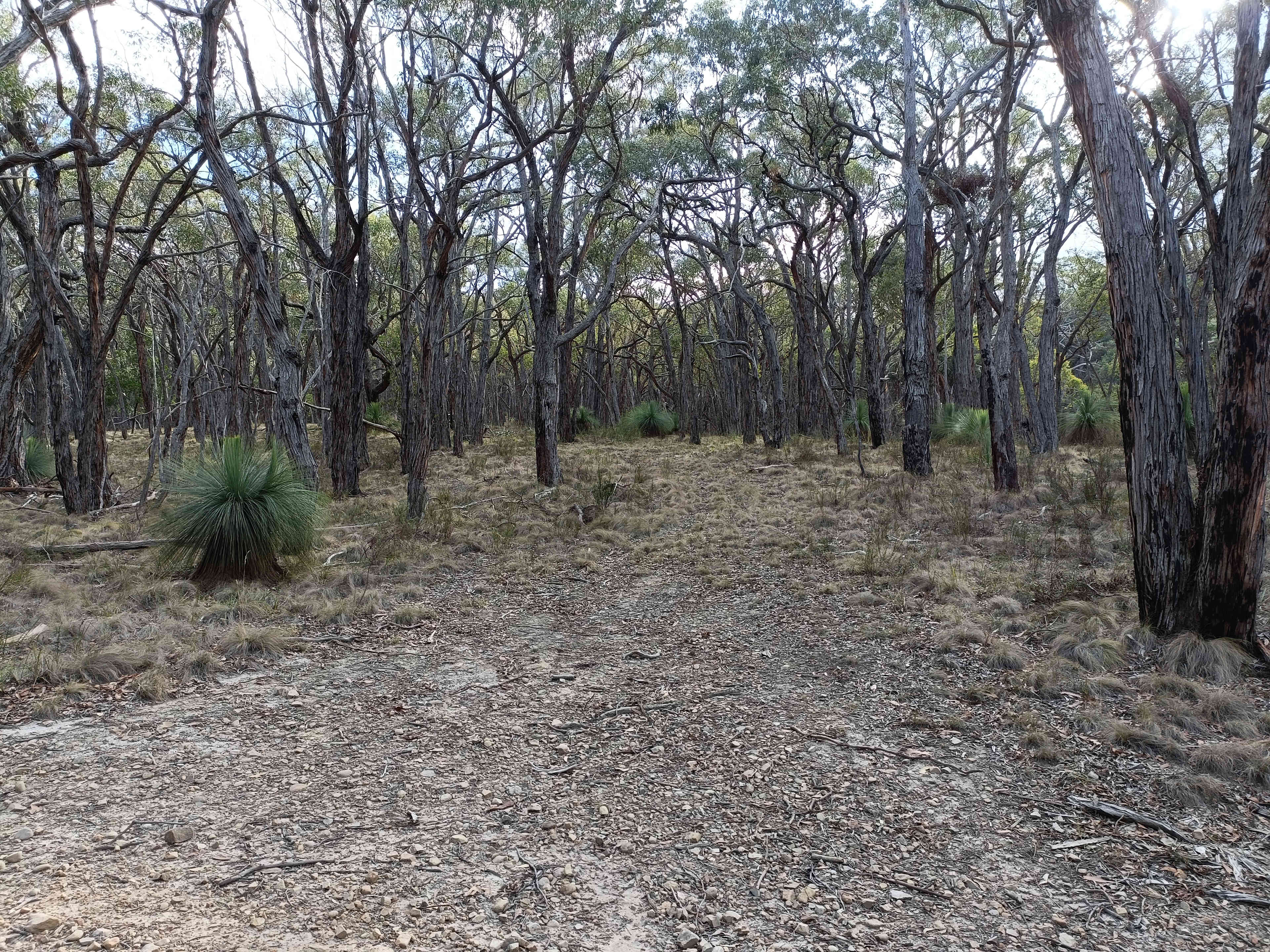 Barrm Birrm Park