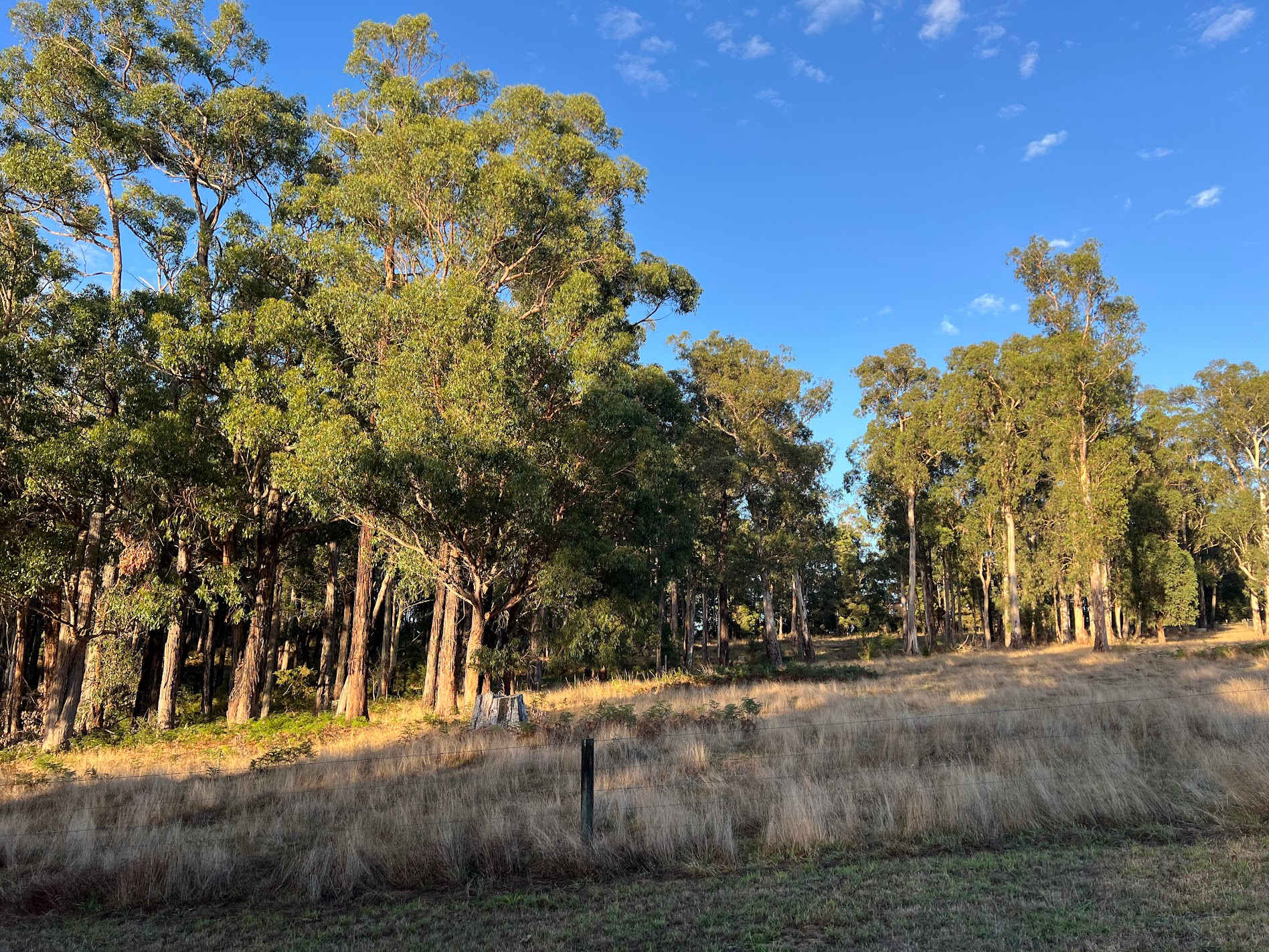 Otways Farm Hideaway