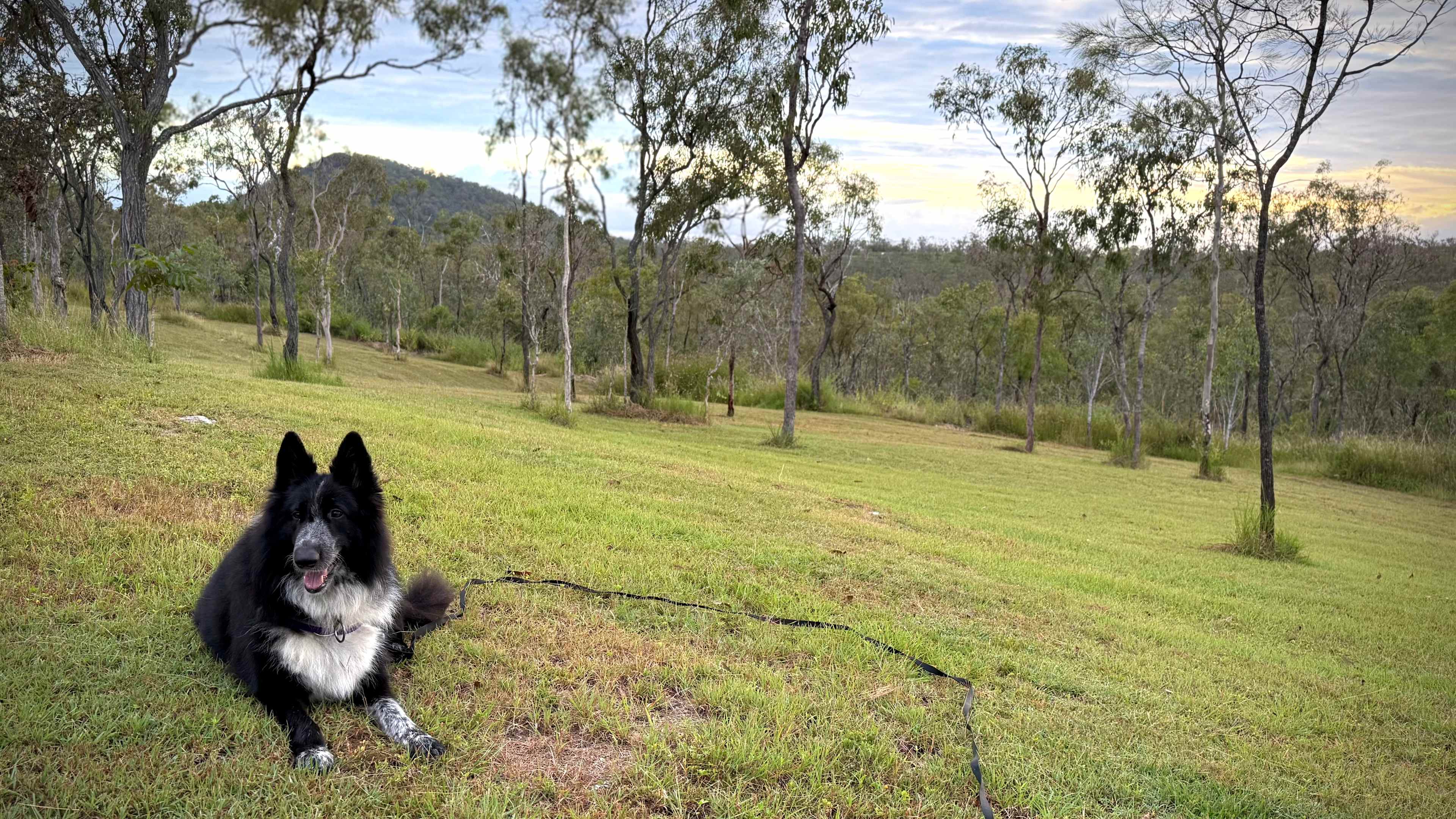 Mareeba Caravan Park
