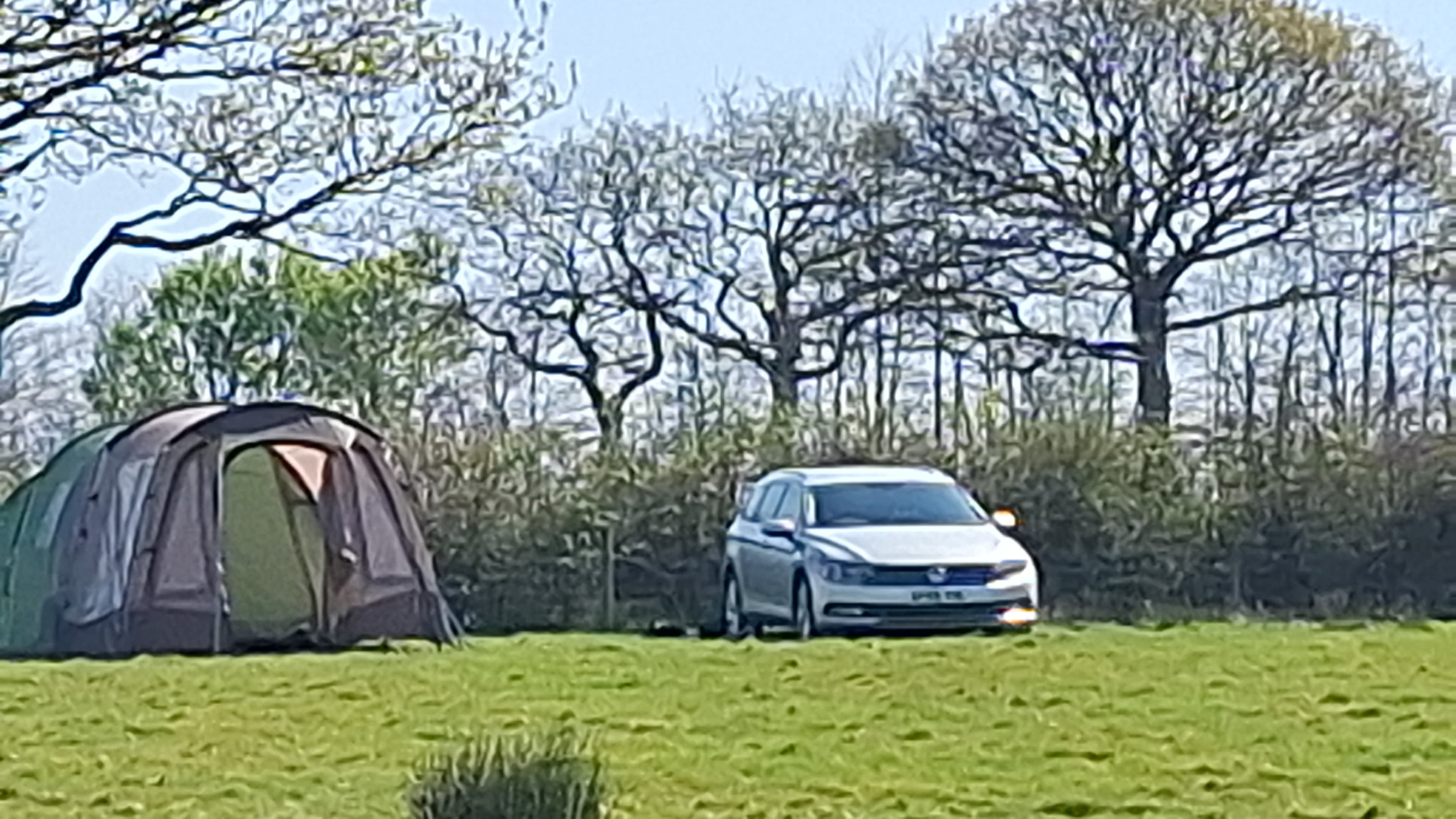 Foxhole Glade Eco-Campsite