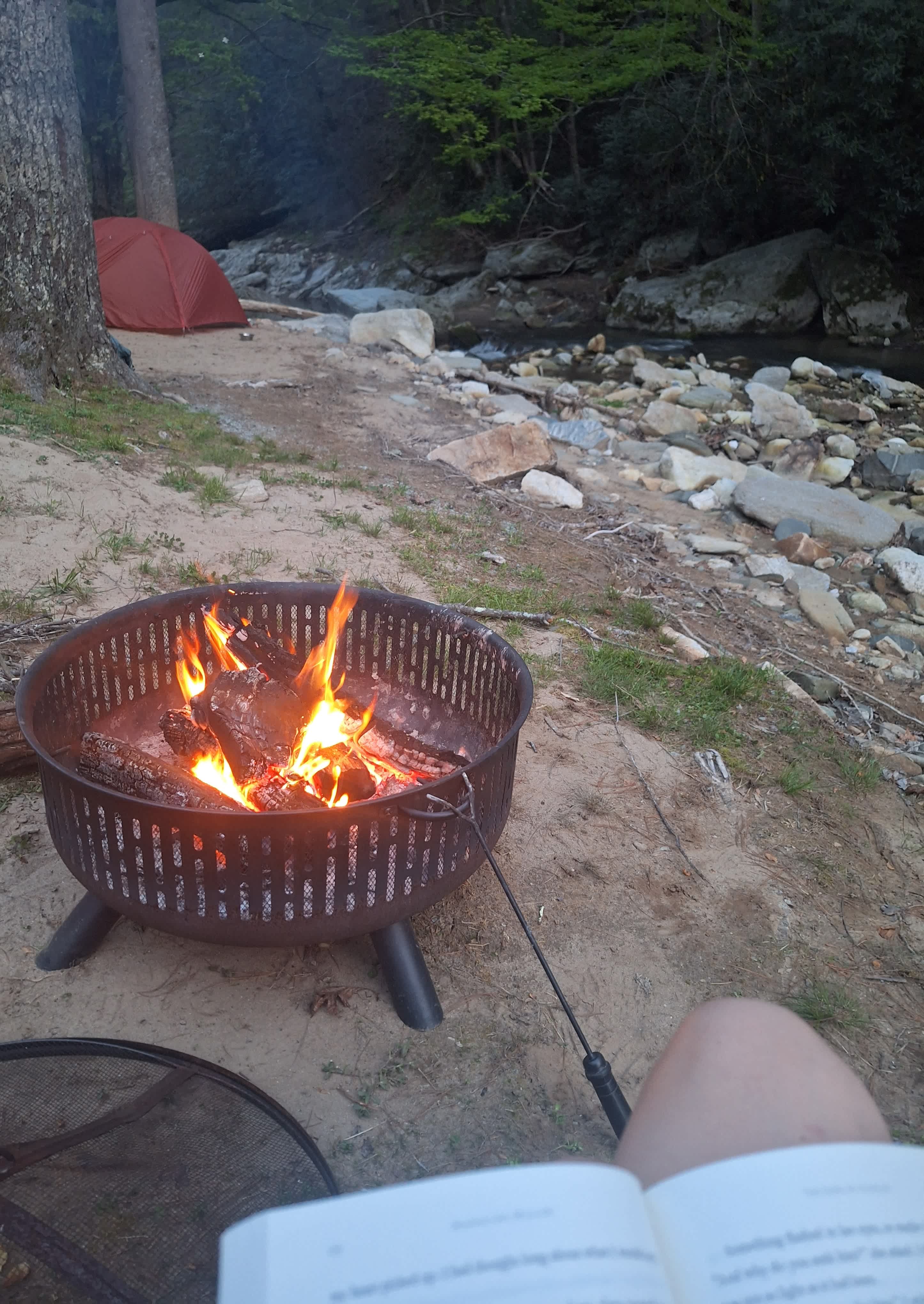 joyville, camping site on elk creek